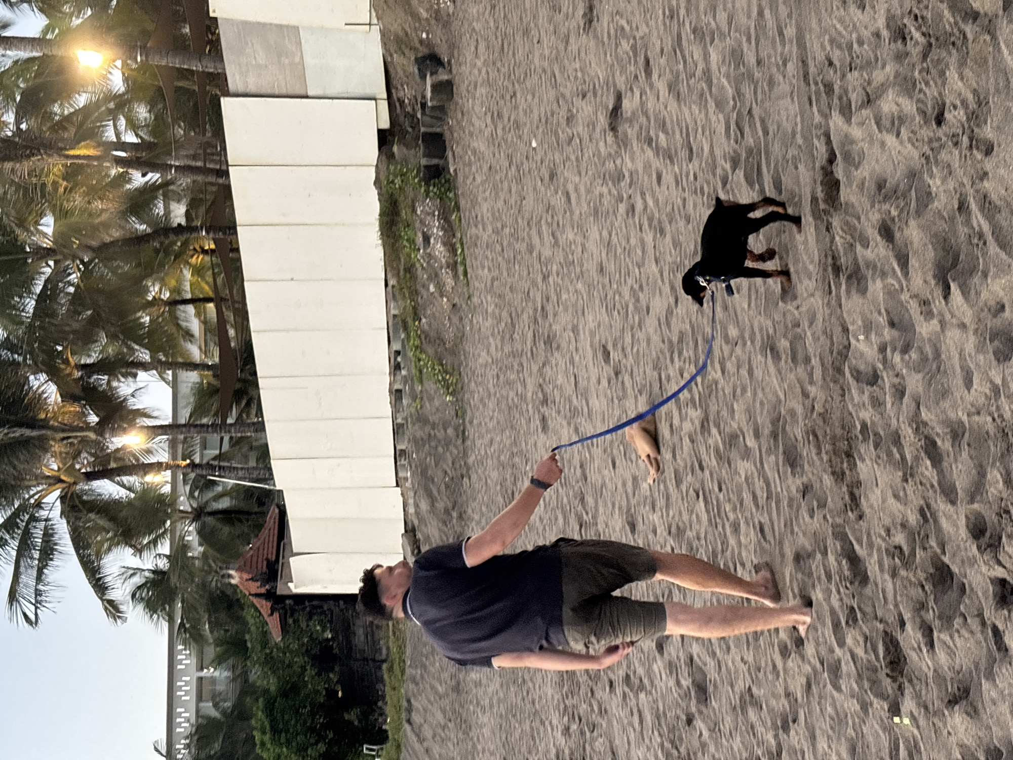 A man with dark hair, wearing a navy blue polo shirt and khaki shorts, walks on a sandy beach in North Kuta, Indonesia. He is holding a blue leash attached to a small black dog with tan markings. The dog is walking in front of him on the sand. In the background, palm trees and a white building are visible. The sky is overcast.
