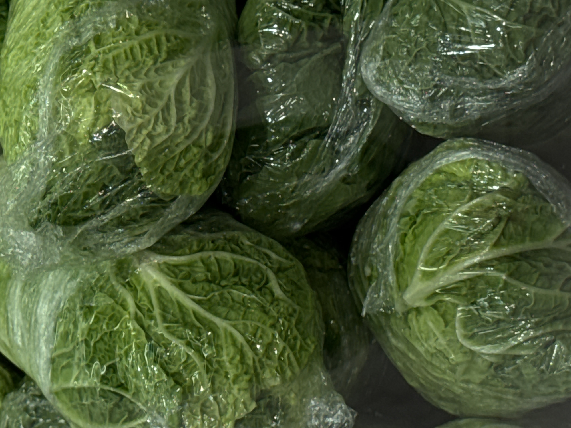 The image shows a close-up, overhead view of several heads of lettuce, each individually wrapped in clear plastic. The lettuce appears to be a variety with crinkled, dark green outer leaves and lighter green inner leaves. The lighting is somewhat dim, creating reflections on the plastic wrap. The background is dark and out of focus, suggesting the lettuce might be displayed in a market or store. The image does not provide any information about the city of Moscow, Russia, or any specific location. There are no people, actions, or interactions visible in the image.