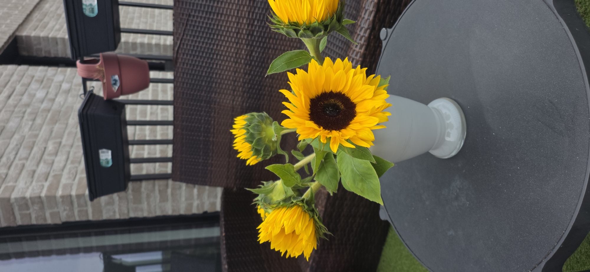 The image depicts a close-up view of a small bouquet of sunflowers in a white vase, placed on a dark circular table. The table appears to be outdoors, possibly on a balcony or patio, indicated by the presence of a wicker chair and railing in the background. The sunflowers are vibrant yellow with dark centers, and some are fully bloomed while others are still budding. Behind the table, a railing supports black planters. The environment suggests an urban setting, and this scene could be found in the city of Maasmechelen, Belgium, where outdoor spaces like balconies and patios are common features in residential areas. No people are visible in the image. The lighting is natural, suggesting it was taken during the day.