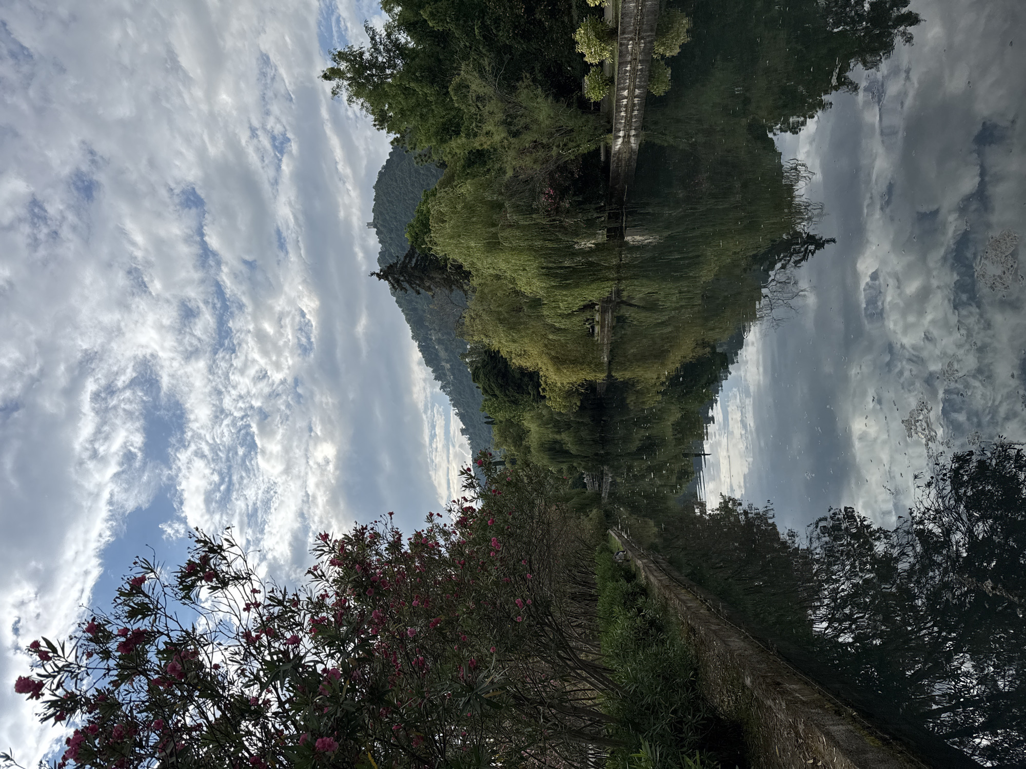 The image depicts a serene natural scene with a striking reflection in the water. The foreground is dominated by a lush green bush with numerous small pink flowers, suggesting a garden or park setting. The branches of the flowering bush reach upwards towards a sky filled with dramatic, wispy white clouds against a bright blue background.
Beyond the flowering bush, the scene transitions to a body of water, likely a lake or slow-moving river, which mirrors the sky and surrounding landscape with remarkable clarity. The reflection shows a verdant, tree-lined bank, with the foliage appearing darker and more concentrated in the reflected image. In the middle ground of the reflection, a distant, tree-covered mountain rises, its outline softened by the atmospheric haze. There are also hints of man-made structures in the reflection, such as a paved pathway or wall along the water's edge, and possibly a small bridge or pier.
The overall impression is one of tranquility and natural beauty. The sky suggests a bright, possibly overcast day, with the sun intermittently breaking through the clouds, creating highlights on the water. The location appears to be a picturesque natural setting, perhaps a park or botanical garden, given the cultivated appearance of the flowering bush. The reflection is a key element, doubling the visual impact of the scene and adding a sense of depth and symmetry. No people or text are visible in the image. The mood is peaceful and contemplative.