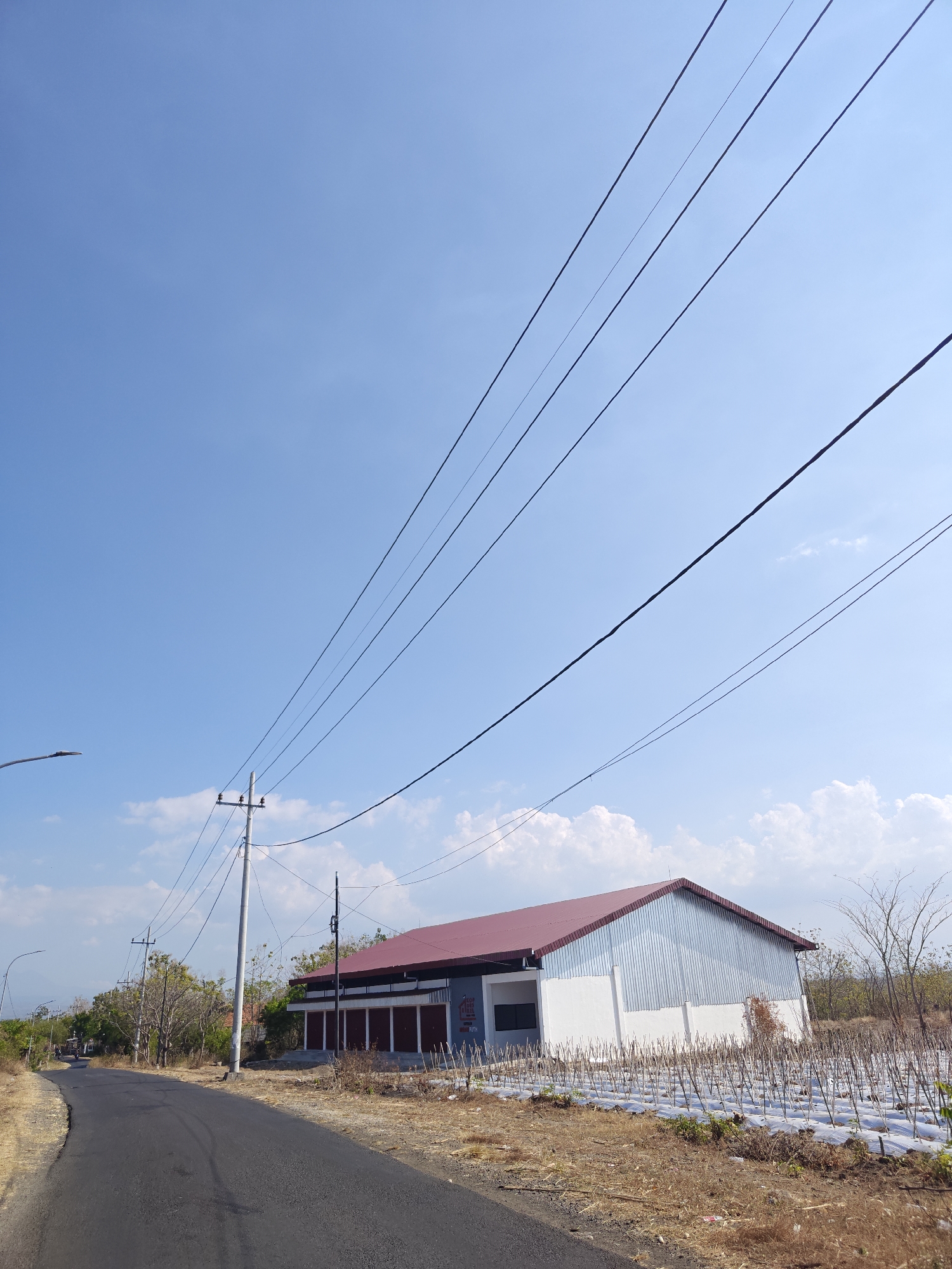 The image shows a rural road in Klampokan, Indonesia, with a modern-looking building on the right side of the road. The building has a white lower section and a corrugated metal upper section, topped with a red roof. In front of the building, there are rows of what appear to be young plants covered with white plastic mulch, supported by wooden stakes. A paved road curves away from the viewer into the distance on the left. Utility poles with multiple wires stretch across the bright blue sky. The landscape is dry and somewhat arid, with sparse vegetation. The sky is mostly clear with a few scattered white clouds.