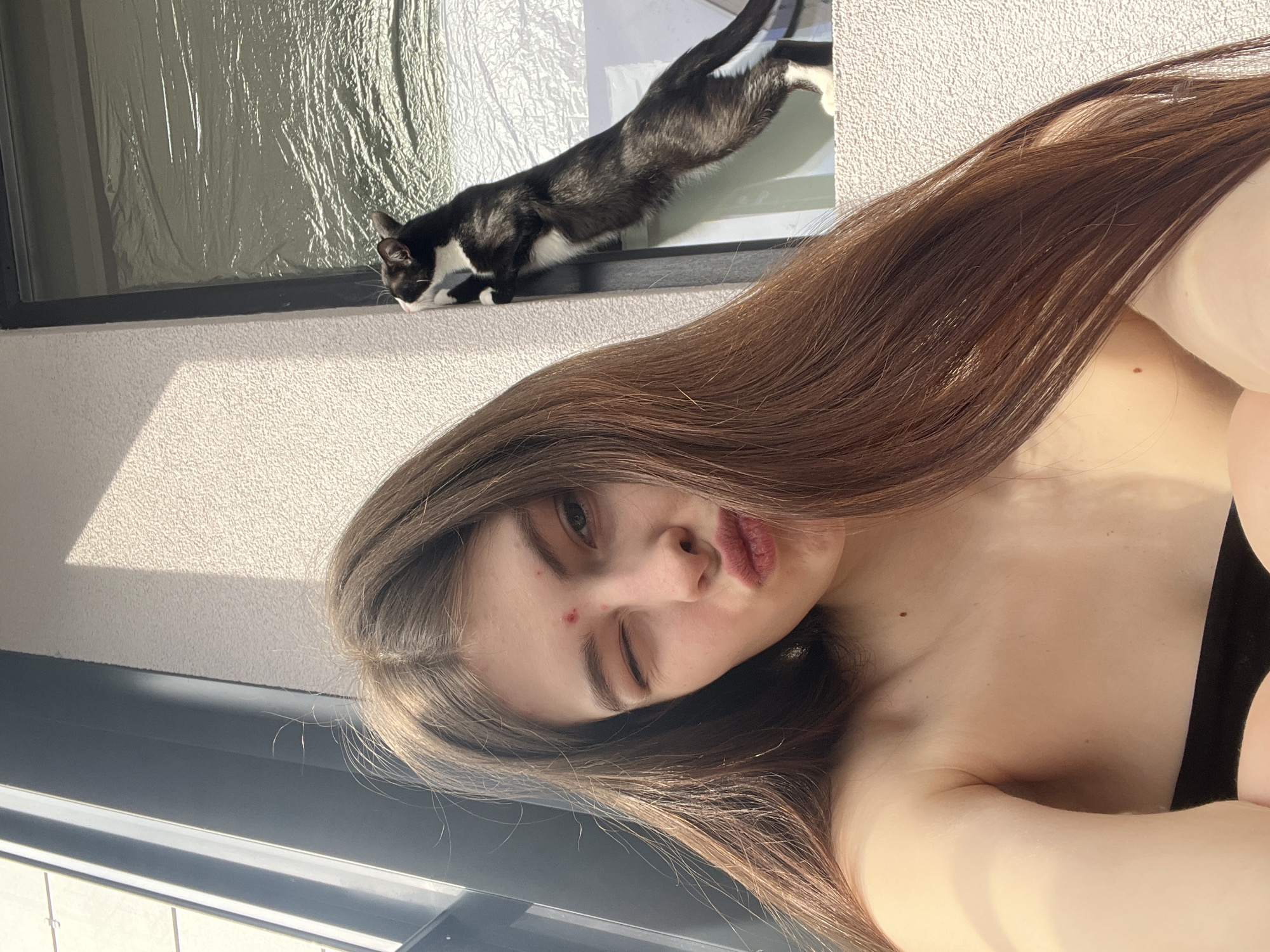The image features a candid selfie of a young woman and a black and white cat, set in what appears to be an indoor or balcony environment in Saint Petersburg, Russia.
The central subject is a young woman with long, straight brown hair, looking directly at the camera. She has one eye winked or partially closed and her lips are pursed, conveying a playful or cheeky expression. A small red blemish is visible on her nose. She is wearing a black strapless garment, with her shoulder and upper chest visible.
In the upper part of the frame, a black and white tuxedo cat is perched on a dark-colored window ledge or balcony railing. The cat is stretching or in motion, with its body elongated and its head lowered as if looking at something just out of view. Behind the cat, a window pane is visible, covered with a crinkled, reflective material, possibly a privacy film or protective plastic. The background also includes a textured, off-white or light grey wall.
The scene is bathed in bright, natural sunlight, casting strong shadows on the wall, indicating it is daytime. The lighting creates a warm and natural atmosphere. There is no visible text in the image.