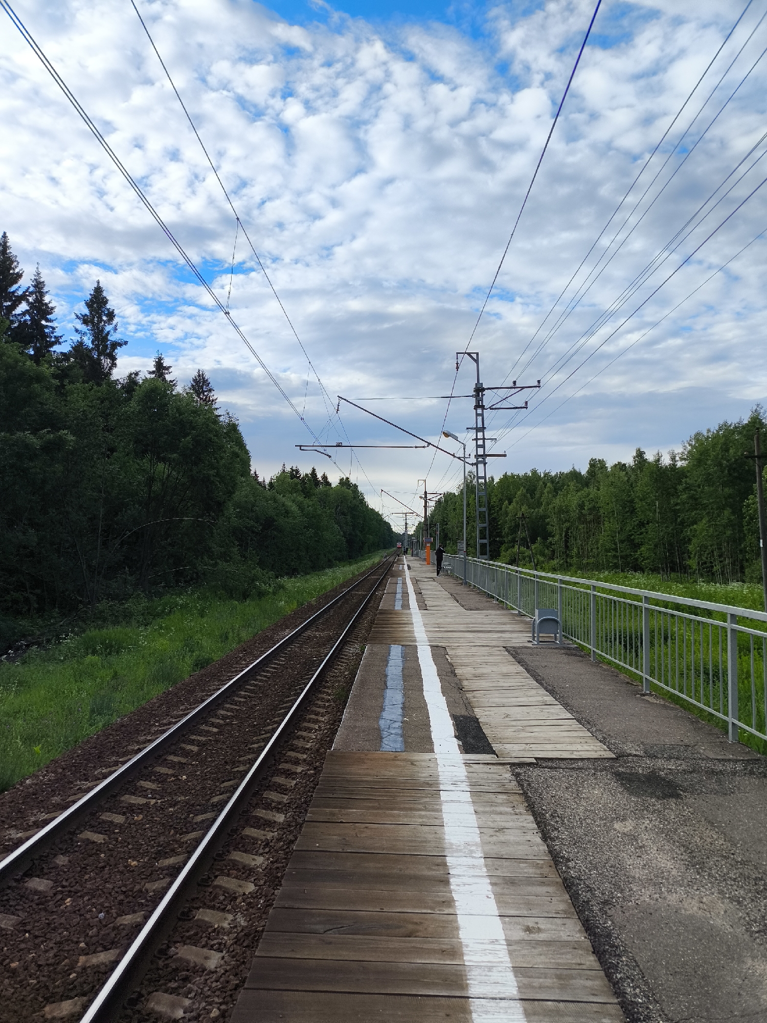 An exterior, eye-level, full shot shows a train track on the left and a wooden platform on the right under a cloudy sky. The train tracks are surrounded by green grass on the left, and the wooden platform is bordered by a metal railing. In the distance, a person is visible on the platform. Electrical wires hang above the train tracks and the platform, supported by utility poles. The scene appears to be a rural or suburban train station.