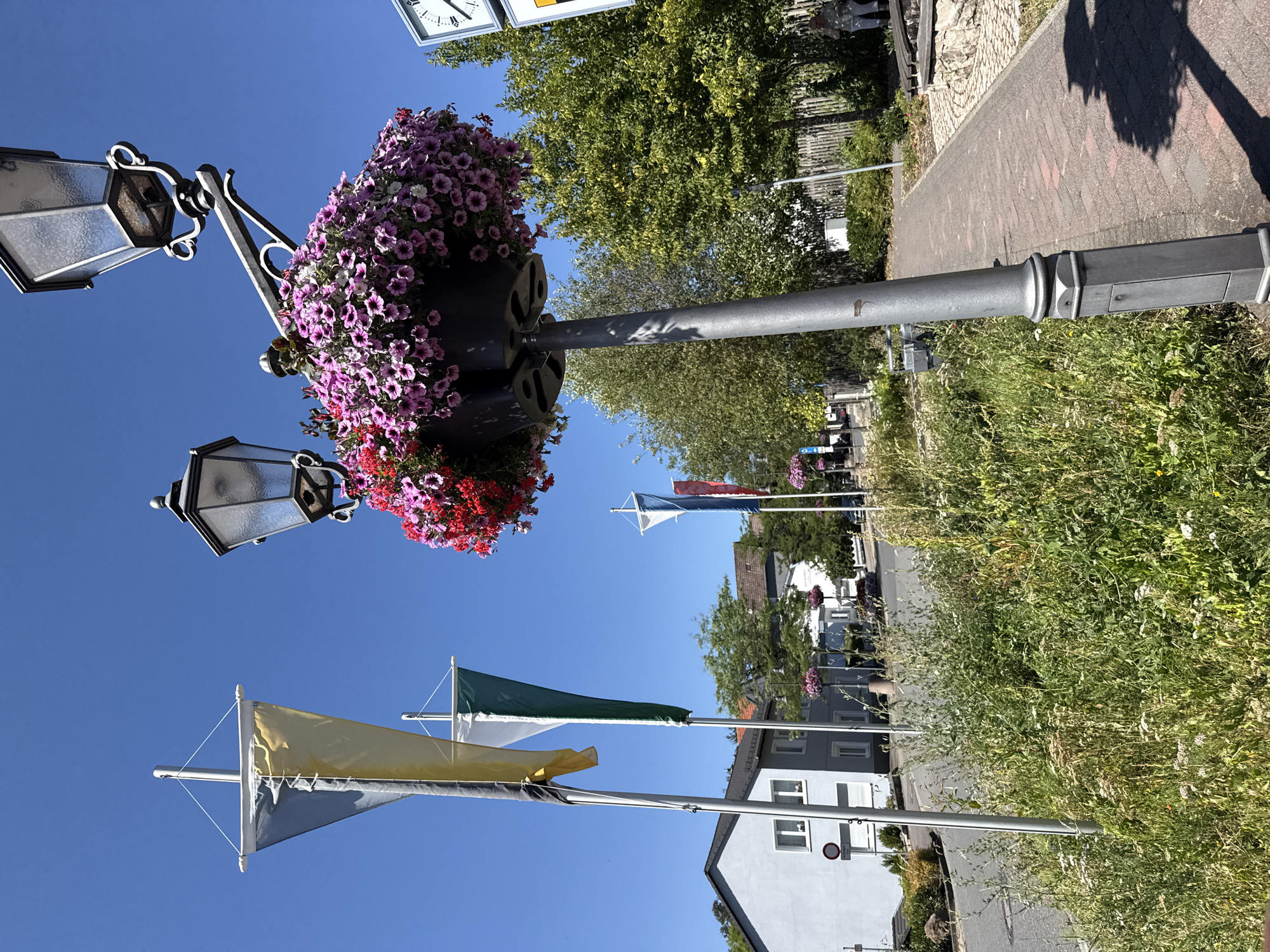 The image shows a street scene in Bad Sachsa, Germany, on a clear day. In the foreground, a grey lamppost is adorned with a large, overflowing planter basket filled with pink and red petunias. To the left, three flags are displayed on poles, one with yellow and grey sections, another with green and white, and a third with blue and white. In the background, buildings and trees line the street, and a paved walkway runs alongside the greenery. A clock face is visible on a pole on the right side of the image. A person can be seen sitting on a bench on the far right.