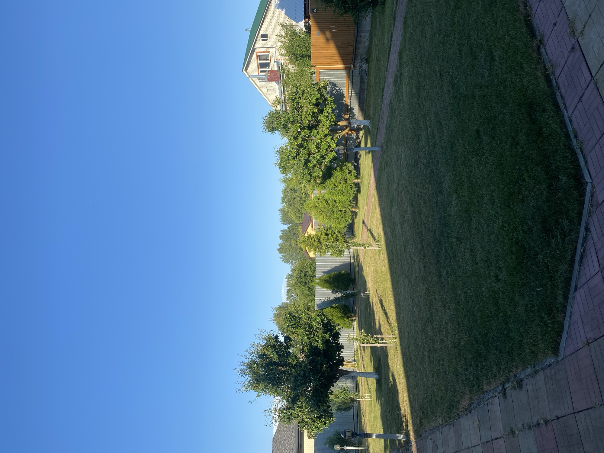This is a vertical, eye-level, outdoor shot of a residential backyard in Volzhsk, Russia. The scene is bathed in the bright, clear light of a sunny day, with a vast expanse of brilliant blue sky dominating the upper portion of the frame. The foreground is paved with a patterned walkway made of reddish-brown and gray rectangular tiles, bordered by a low concrete edge and a well-maintained green lawn.
Several young trees and bushes are scattered across the lawn. A larger, mature tree with a white-painted trunk stands prominently in the left-middle ground, casting a shadow across the grass. Various smaller trees, some appearing to be evergreens, are also present. Pathway lights, with dark poles and lanterns, are situated at intervals along the paved walkway.
A metal fence runs horizontally across the middle ground, separating the yard from adjacent properties. Beyond this fence, a wooden fence section with vertical planks is visible on the right. In the background, residential buildings with pitched roofs are partially visible through a line of green trees. The overall impression is one of a well-kept, suburban backyard. There are no people or animals visible in the image, and no actions or interactions are depicted.