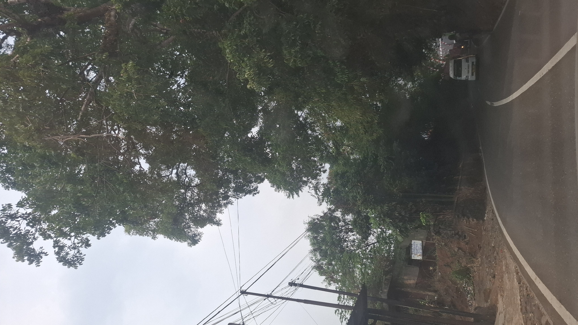 The image shows a road winding through a lush, green environment, likely in Susukan, Indonesia. The sky is overcast. Large trees with dense foliage dominate the scene, with their branches extending over the road. On the left side of the road, there are utility poles with numerous wires. A sign is visible on the embankment to the left, with text that is difficult to read but appears to be in Indonesian. The road itself is asphalt with a white line marking the center. Further down the road, a white van is traveling away from the camera, and a person is standing near it. The overall impression is of a scenic, somewhat remote, rural or semi-rural road.