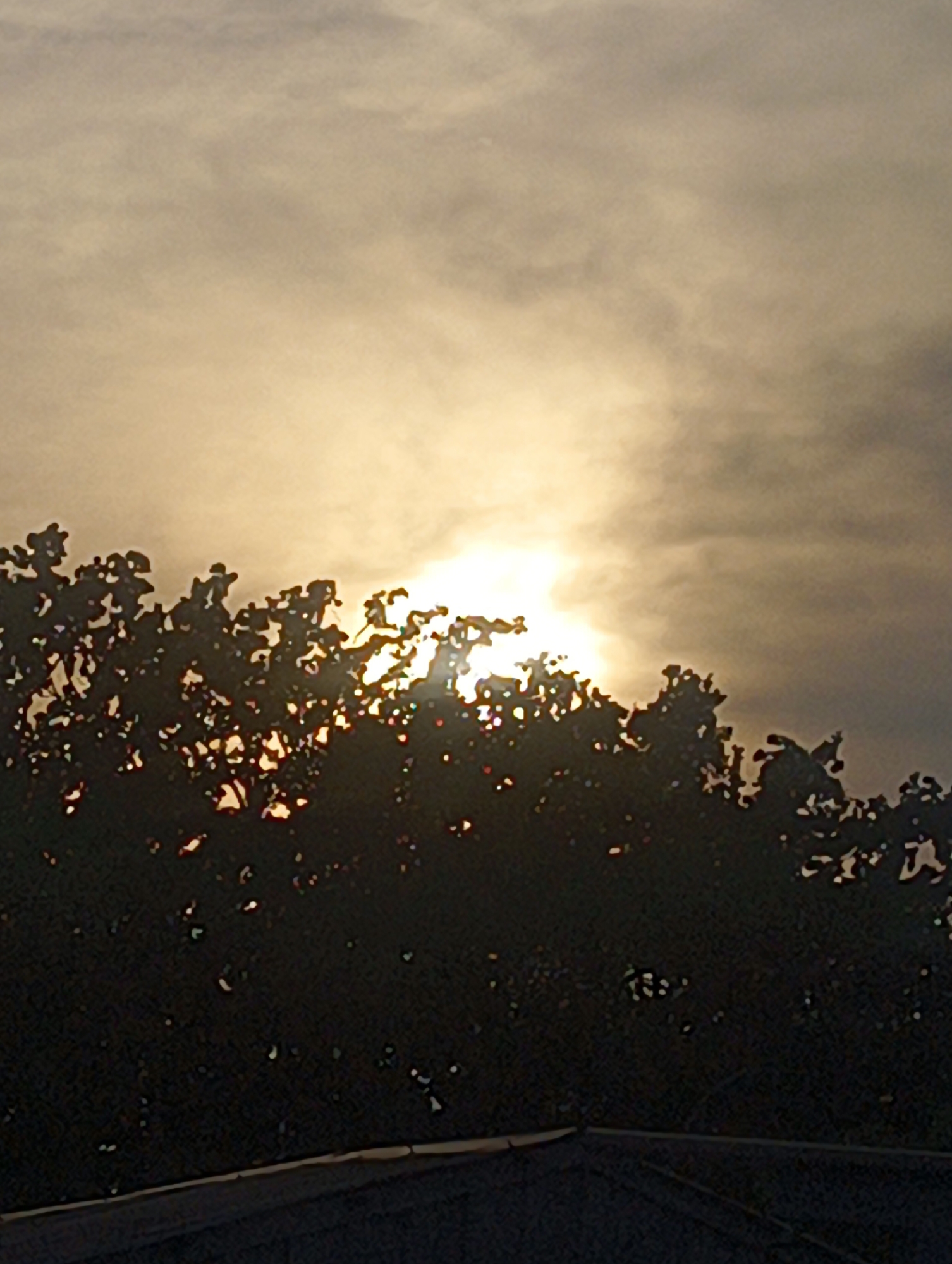 The image shows a silhouette of trees against a bright, cloudy sky. The sun is partially obscured by the clouds and the foliage, creating a bright glow. The foreground shows the top of a dark, flat structure, possibly a roof, with a textured surface. There are no people or animals visible in the image. The overall impression is that of a natural scene observed from a slightly elevated perspective. The location is identified as Černý Dub, Czechia, but there are no specific landmarks or contextual clues within the image itself to confirm or deny this location.