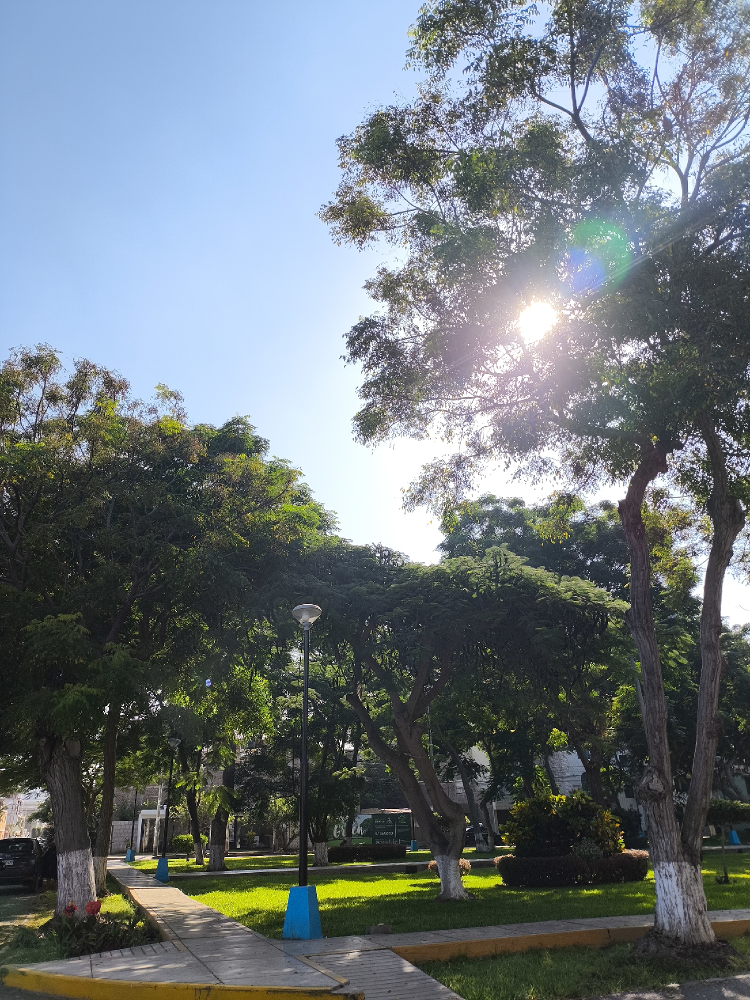 The image depicts a park scene in Víctor Larco Herrera, Peru. The park features trees with green foliage, some with white-painted trunks. A paved pathway with yellow edging extends into the scene. Blue bases support the lamp posts lining the path. The sun shines brightly through the trees. In the background, buildings are visible. A car is parked on the side. Green grass covers the open areas of the park, with shrubs, and plants adding to the landscape.