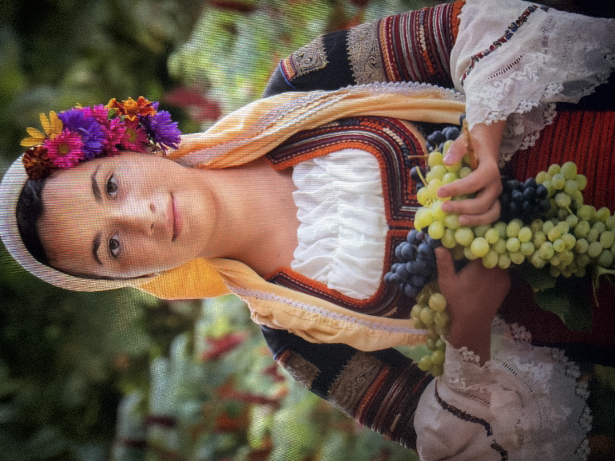 A young female subject is depicted in a full-frame portrait, set outdoors in Shumen, Bulgaria. She is positioned centrally, facing directly towards the viewer with a slight smile and direct gaze. Her dark hair is covered by a light yellow headscarf, secured with a white band across her forehead. The right side of her headscarf is adorned with a cluster of vibrant artificial flowers in shades of fuchsia, purple, orange, and yellow. She wears a traditional Bulgarian folk costume, consisting of a white long-sleeved blouse with ruffled fabric around the neckline and intricate lace embroidery on the wide cuffs. Over the blouse, she wears a dark-colored sleeveless vest or bodice, intricately embroidered with multi-colored threads in geometric and swirling patterns, particularly around the neckline, shoulders, and upper arms. A red striped fabric, possibly part of a skirt or apron, is visible below her waist. In her hands, she holds several bunches of grapes, including both green and dark blue/purple varieties, positioned at the center of her lower torso. The background is a blurred natural environment, characterized by dark green foliage with hints of red and lighter green elements, indicating a shallow depth of field.