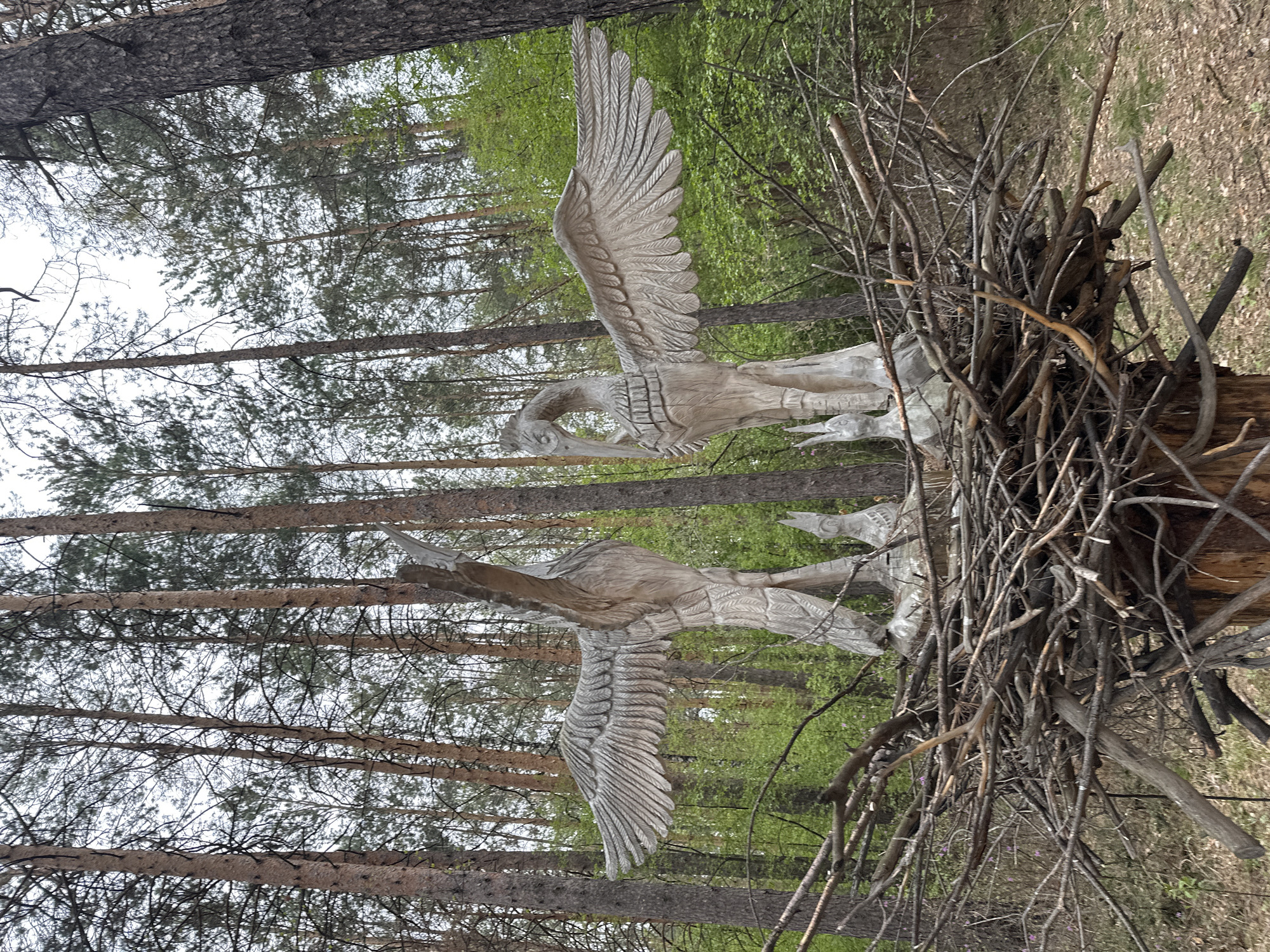 The image shows two wooden swan sculptures on a stump within a forest setting. The swans, carved with detailed wings, are positioned facing each other. A nest made of branches is constructed around the base of the sculptures and the stump. The background features a dense forest of tall pine trees with green foliage visible in the distance. The image is described to be located in Sayansk, Russia.