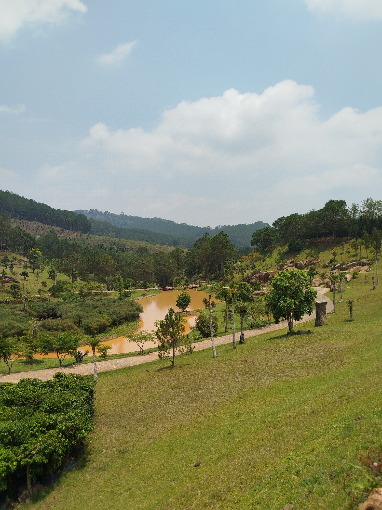 This image presents a vast, serene outdoor landscape in Păng Tiêng 1, Vietnam, under a bright, partly cloudy sky. No people are visible in the scene. The central feature is a distinct, reddish-brown body of water, possibly a lake or river, that snakes through the middle ground. It is bordered by a winding, light-colored path.
The landscape consists of undulating green hills, with dense forests of pine trees covering the distant slopes and scattered trees, some appearing palm-like, closer to the foreground. Large, natural rock formations are visible on the grassy hillsides. The foreground features a meticulously maintained, sloping green lawn on the right, contrasted with a dense, dark green bush or shrubbery on the lower left. The sky is a light blue with scattered white cumulus clouds, indicating a clear, sunny day, likely morning or early afternoon. The overall atmosphere is tranquil and picturesque, showcasing a well-preserved natural or park-like environment. There is no visible text in the image.