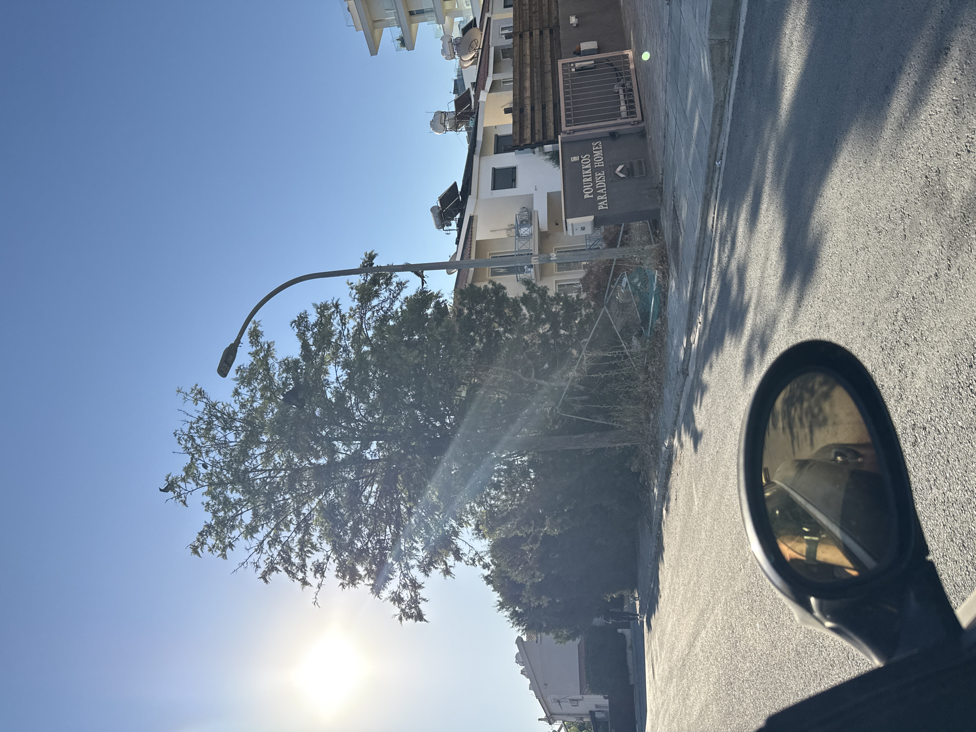 The image depicts a street scene in Germasogeia Municipality, Cyprus, bathed in bright sunlight. A large tree with sparse foliage dominates the left side of the frame, with rays of light piercing through its branches. A street lamp with a curved arm extends from behind the tree. On the right side of the road, there is a property with a sign that reads "POURIKKOS PARADISE HOMES." The building behind the sign is a multi-story residential structure with solar water heaters on the roof. Further in the background, a modern, white building with balconies is visible. The street itself is paved asphalt, with shadows cast from the trees and the street lamp. In the foreground, the side mirror of a vehicle reflects the road and what appears to be the interior of the car. A person and a dog are seen walking on the sidewalk in the middle ground. The sky is clear blue.