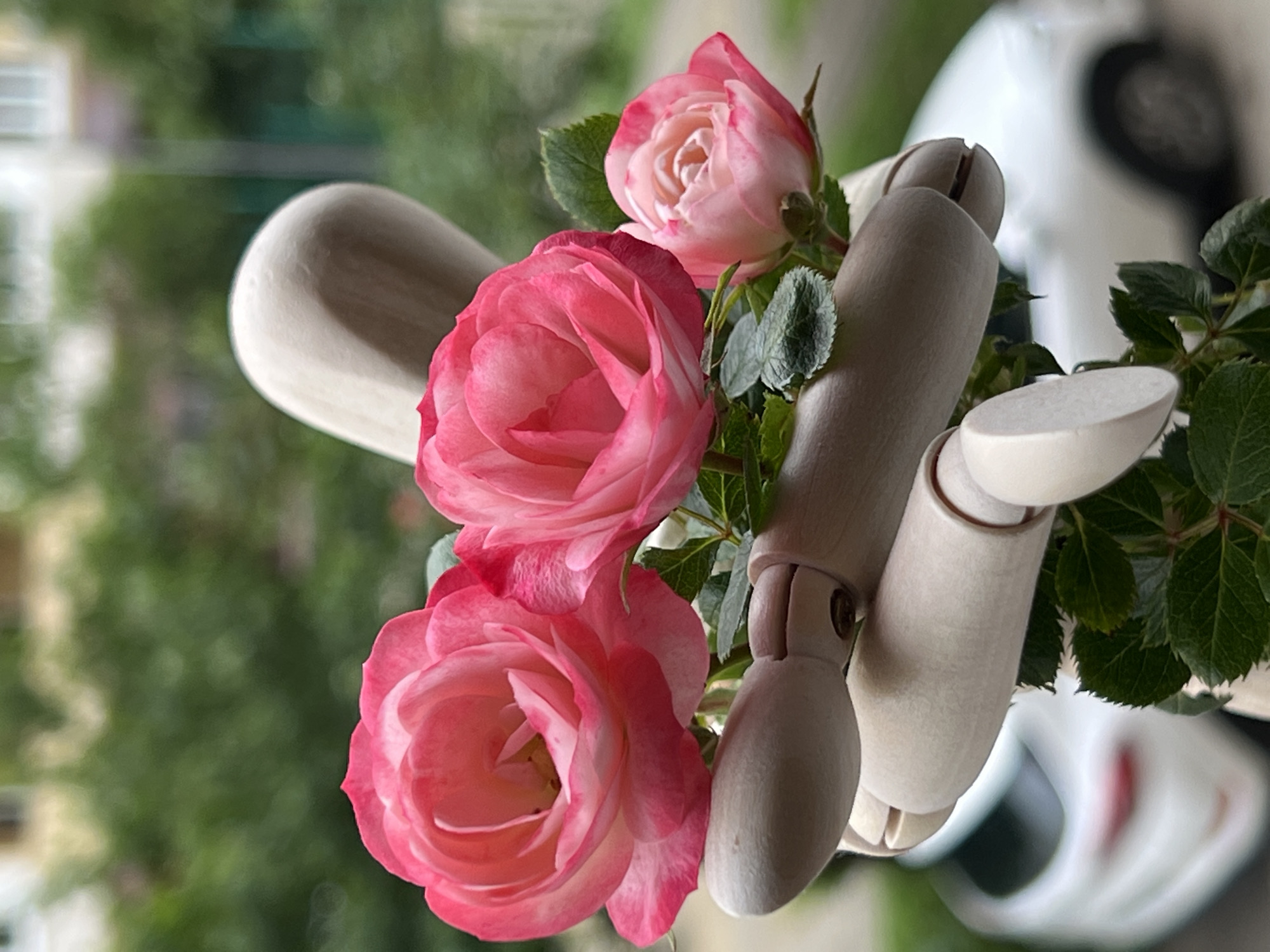 A close-up captures three pink roses held in the wooden hand of an artist's mannequin. The roses are in varying stages of bloom, with the largest one in the foreground, and the two smaller roses are toward the top and back. Green leaves intermingle with the roses. The mannequin's hand is posed in a way that suggests it is delicately holding the flowers. The background is a blurred mix of green foliage and light-colored structures.
