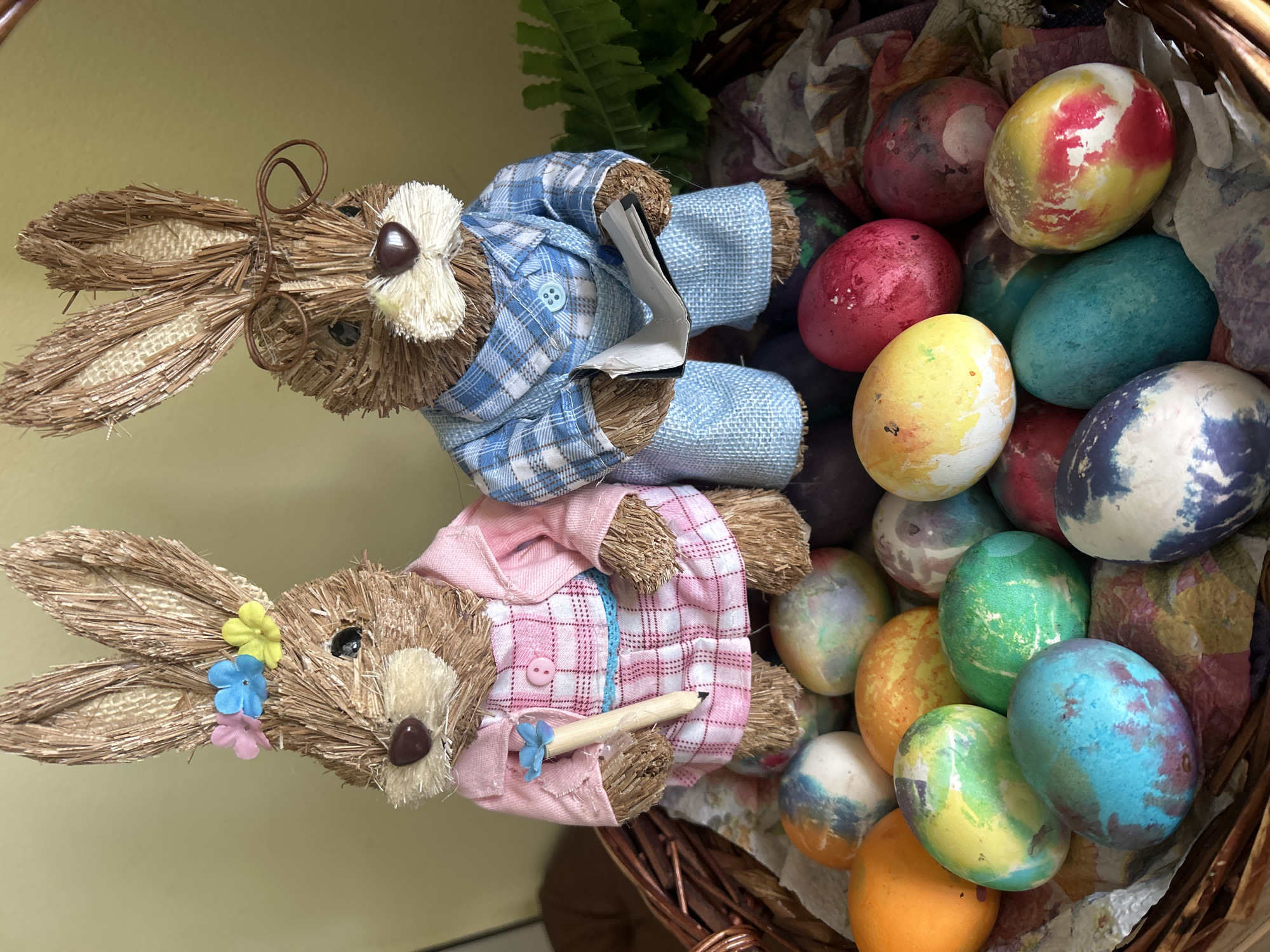 The image shows a close-up of an Easter basket filled with colorful dyed eggs, two straw bunny dolls wearing shirts, and some green fern leaves. The location is Unknown, Unknown.
The basket appears to be made of woven brown material and is overflowing with approximately 20-25 Easter eggs in various colors, including shades of red, yellow, blue, green, and orange. The eggs are adorned with unique patterns and textures, likely created during the dyeing process.
Two straw bunny dolls are positioned in the basket amidst the eggs. The top bunny doll is wearing a blue plaid shirt, while the lower one sports a pink plaid shirt. The bunny dolls are made of woven straw with brown button noses. The bunny doll in pink holds a small wooden pencil.
Some green fern leaves are visible in the background, adding to the Easter-themed ambiance of the scene.