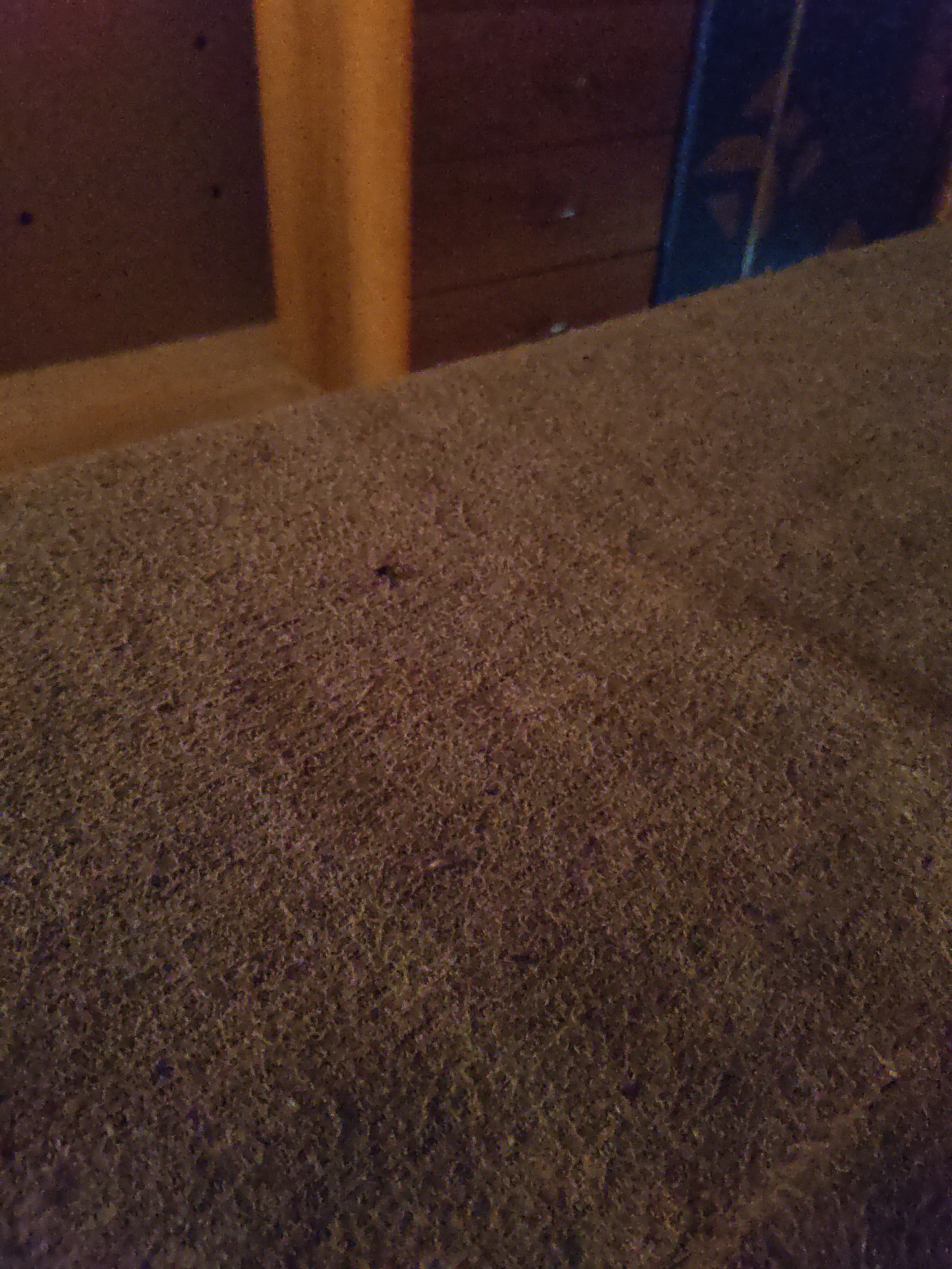 The image depicts a close-up, dimly lit view of a textured, brown surface, possibly carpet or upholstery. In the center of the frame, a small, dark object, likely an insect, is visible. The background is out of focus but suggests wooden structures and a vertically oriented, dark blue object. The scene does not contain any identifiable urban elements or information that would link it to the city of Платошино, Russia.