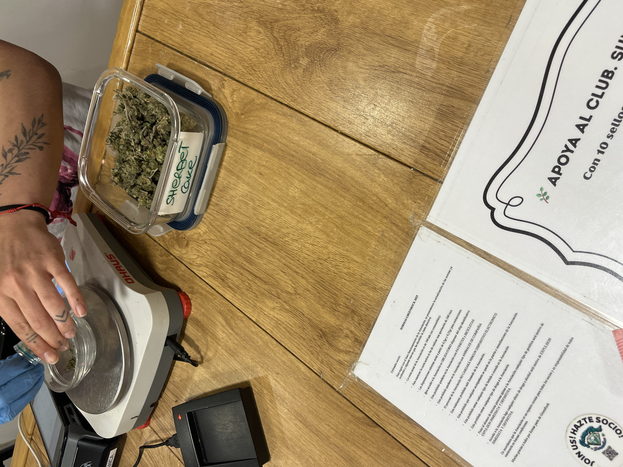 Here's a detailed description of the image:
**People:**
The image shows a person with tattoos on their arm and hand wearing blue gloves. The person is holding a small clear plastic dish over a digital scale.
**Subjects:**
The primary subject is likely cannabis, as there is a container labeled "SHERBET Cake" filled with what appears to be marijuana buds.
**Objects:**
* Digital scale (OHAUS brand)
* Clear plastic container with cannabis labeled "SHERBET Cake"
* Small clear plastic dish
* Black rectangular electronic device (possibly a power supply for the scale)
* Printed document titled "NORMAS GREENROCK 2025" (Rules of Greenrock 2025)
* Printed flyer with the text "* APOYA AL CLUB. Slu Con 10 sello."
**Actions:**
The person is likely weighing the cannabis using the digital scale.
**Interactions:**
The person is directly interacting with the cannabis and the scale. There is an implied interaction with the "NORMAS GREENROCK 2025" document, suggesting adherence to rules.
**Environment:**
The setting appears to be an indoor space with a wooden tabletop surface. The presence of cannabis, the scale, and the document with the phrase "NORMAS GREENROCK 2025" suggest a setting associated with cannabis culture. The "NORMAS GREENROCK 2025" document and the flyer "* APOYA AL CLUB" suggest it may be a cannabis social club. The document is in Spanish.
**Location in Barcelona, Spain:**
Based on the presence of the "NORMAS GREENROCK 2025" document and flyer in Spanish and the potential association with cannabis culture, it can be reasonably speculated that the image was taken at a cannabis social club in Barcelona, Spain. The club's name appears to be "GreenRock".