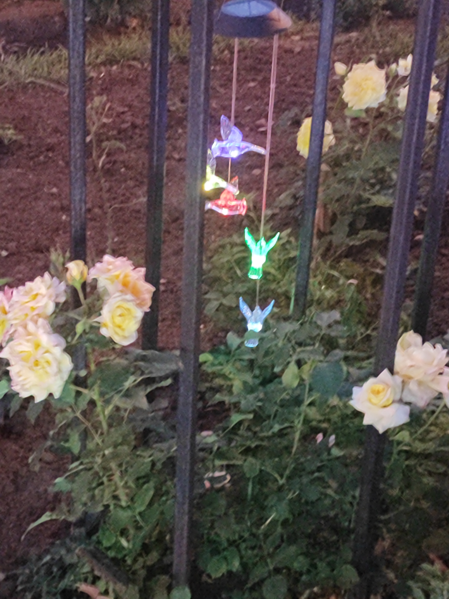 The image shows a close-up view of a garden fence with several wind chimes and roses. The wind chimes are shaped like hummingbirds and have colorful LED lights. One chime is blue, another is green, and a third appears to be red, though it is partially obscured. The roses are predominantly yellow and light pink, with some buds visible. The setting appears to be a garden or outdoor space, possibly in Shchyolkovo, Russia, given the location context. The lighting suggests it might be dusk or early evening, as the artificial lights on the wind chimes are illuminated and stand out against the dim natural light. The scene is peaceful and decorative, with the colorful chimes and delicate roses creating a visually appealing composition. There is no visible text in the image.