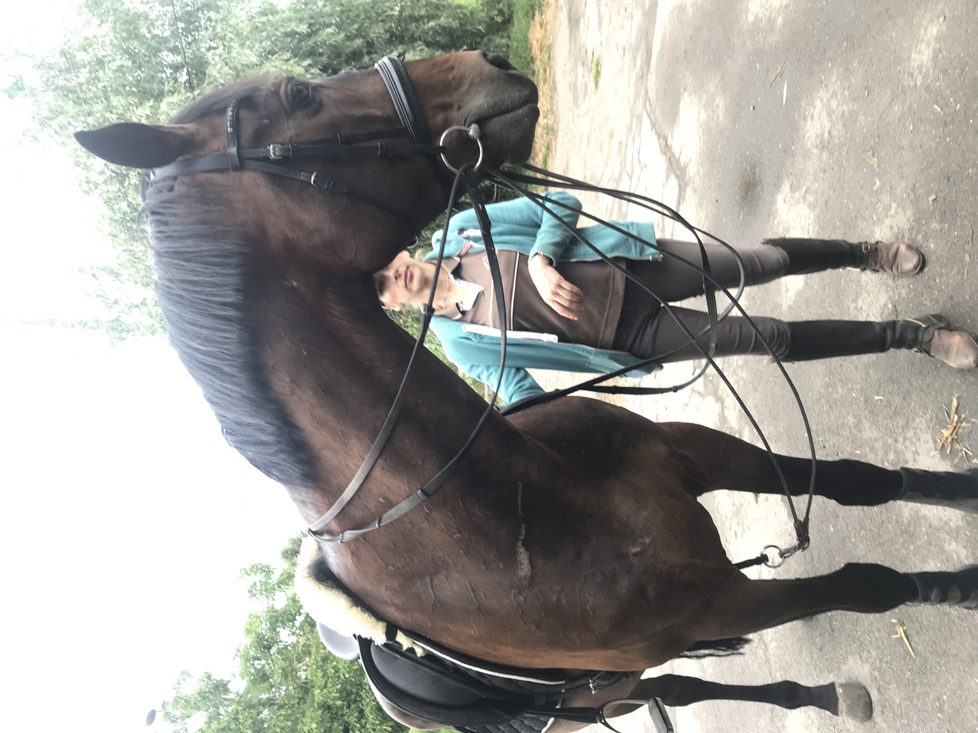 The image shows a brown horse with a rider. The rider is wearing a light blue jacket, a brown shirt, and dark leggings with brown boots. The horse is wearing a bridle and a saddle. The scene appears to be outdoors, with trees and a paved surface visible in the background. The lighting suggests it could be daytime. The rider is leaning over the horse, and the horse's head is lowered. The overall impression is of a peaceful moment between horse and rider. The image is a bit blurry and tilted, making it difficult to discern finer details. There is no visible text in the image. The location context provided is Kharkiv, Ukraine, but this cannot be confirmed from the visual elements alone.