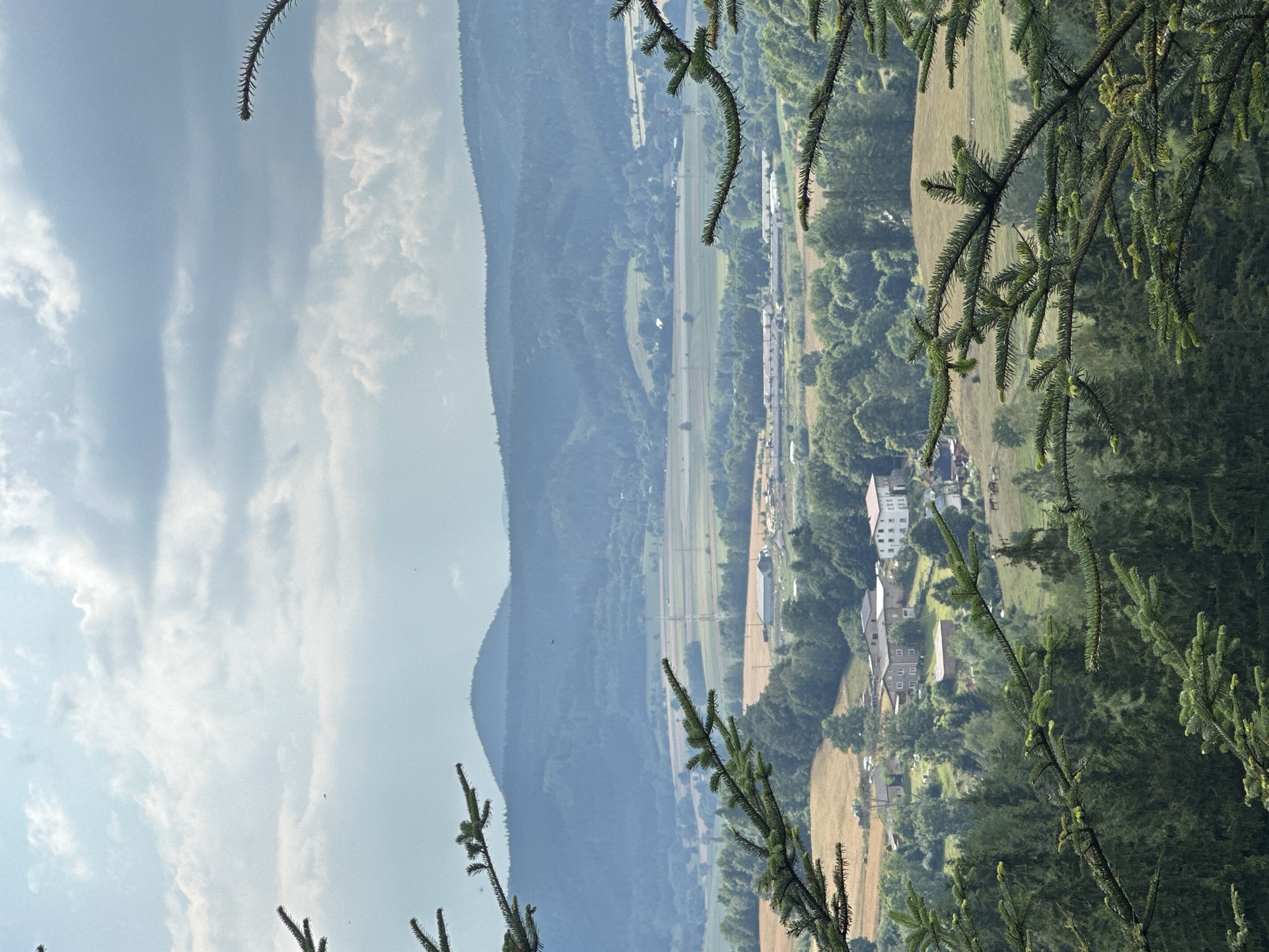 This is an eye-level, landscape photograph taken from a high vantage point overlooking a rural area in or near Chełmsko Śląskie, Poland. The foreground is dominated by the dark green branches and needles of coniferous trees, particularly on the left and right sides of the frame, framing the scene. In the midground, a village or small town is visible, with several buildings, including larger structures with light-colored facades and smaller, darker buildings. Fields of varying colors, including golden-brown and green, are interspersed with the trees and buildings. In the background, rolling hills covered in dense green forests recede into the distance, culminating in a hazy, blue mountain peak under a sky filled with dramatic, white and gray clouds. There are no people or animals clearly visible in the scene. The overall impression is of a serene, bucolic landscape bathed in natural light.