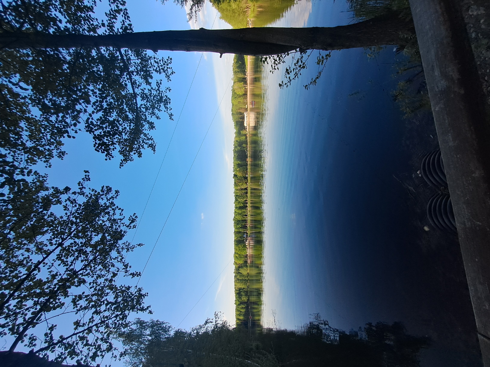 The image presents a view of a tranquil lake scene, possibly in Меткомелино, Russia. The viewpoint is partially obscured by foliage of trees on the left and top edges, while a concrete structure is visible on the right. The surface of the lake mirrors the opposite shore, reflecting the line of trees and the clear blue sky above. Utility wires span the sky in the left area of the frame. The lighting is bright, indicating it is daytime.