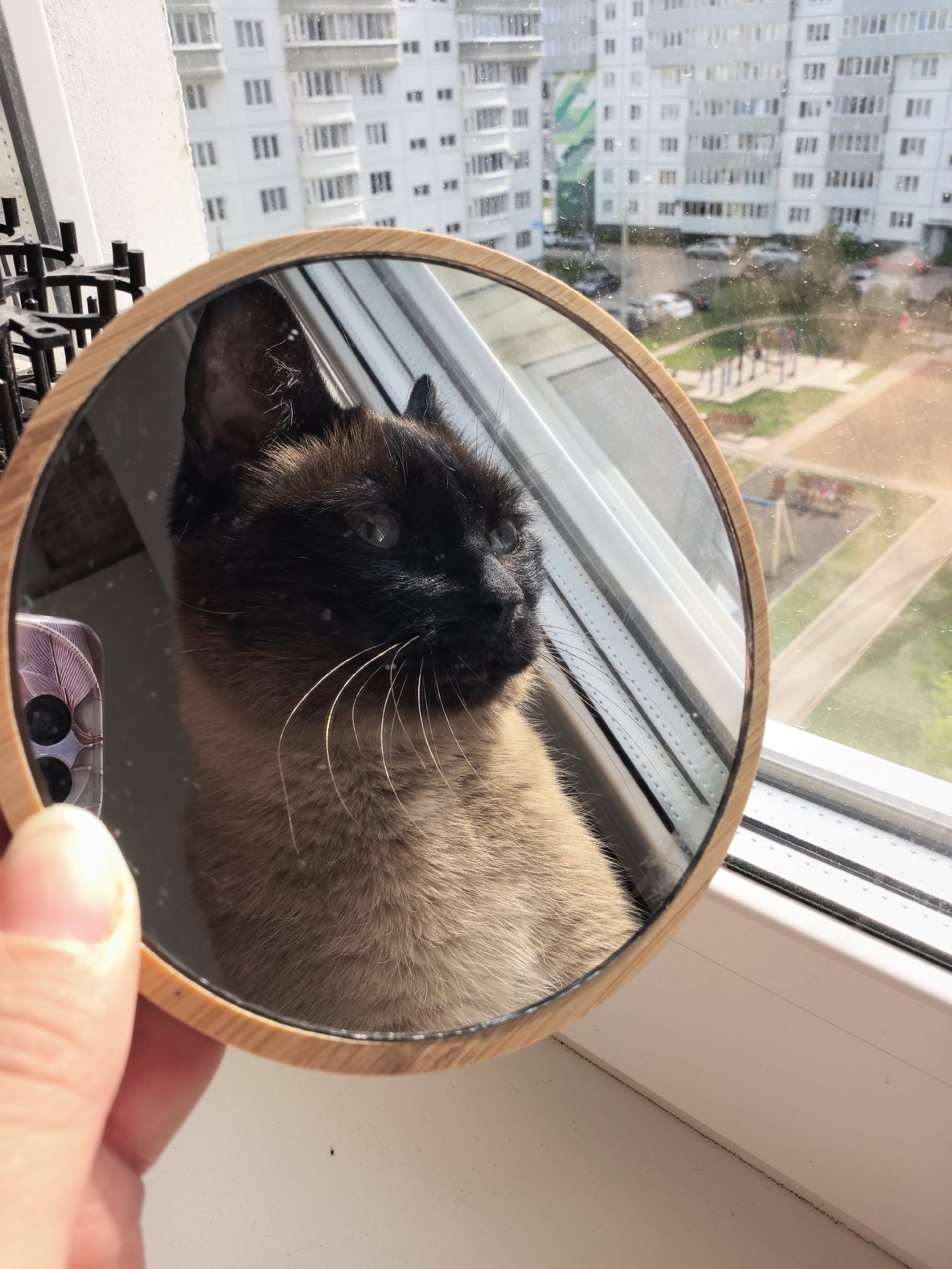 A person holds a round, wooden-framed mirror, reflecting a Siamese cat. The cat is positioned near a window, looking outside. Outside the window, a view of Фролы, Russia is visible, including an apartment building, playground, cars, and trees. The image is taken indoors, near the window.