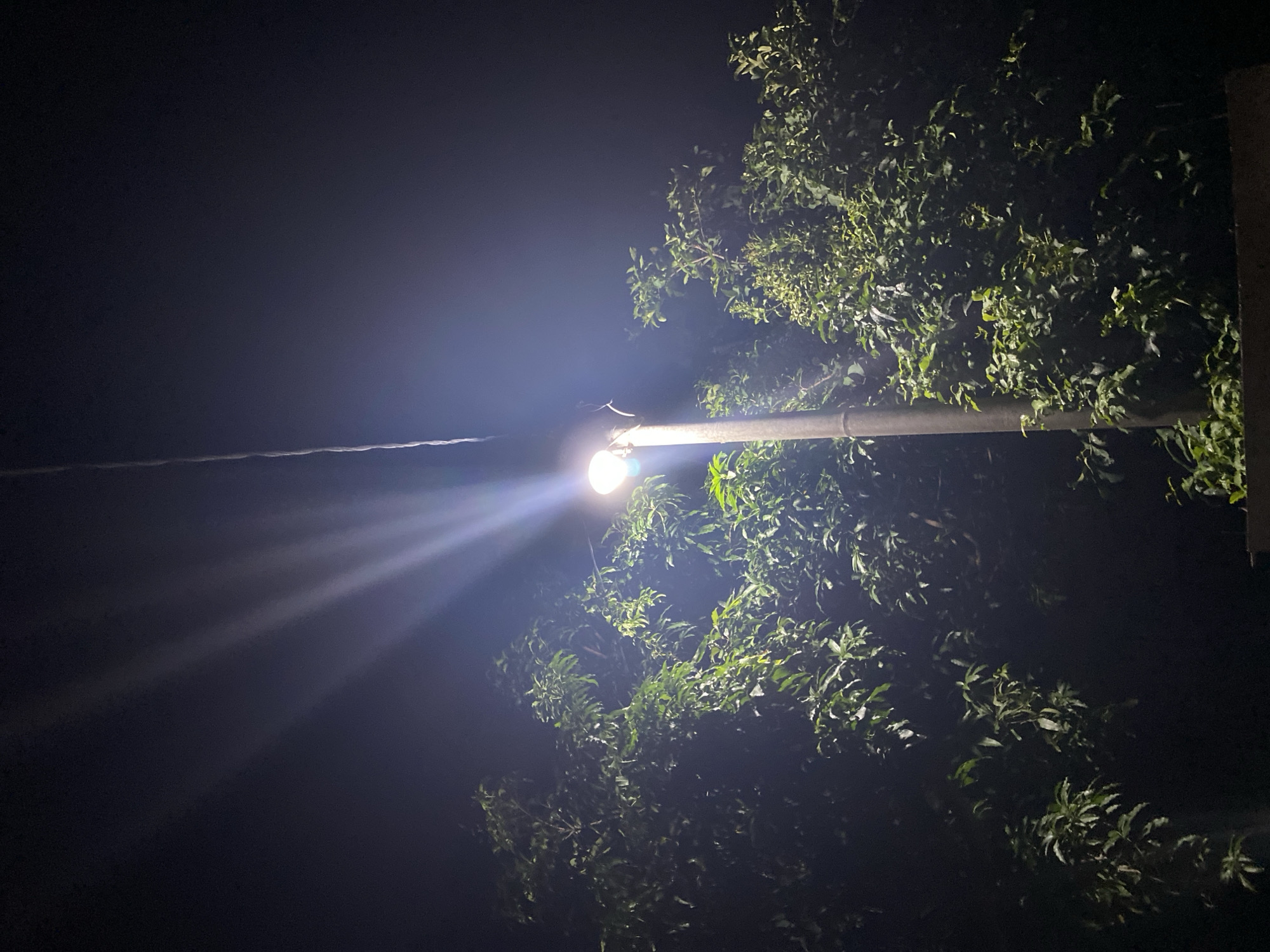 An upward-angle night shot captures a streetlamp with a bright white light illuminating the surrounding dark sky and dense green foliage. The streetlamp, a vertical grey pole topped with a luminous light source, stands in the center of the frame, extending towards the top edge. Rays of light emanate from the lamp, creating a starburst effect against the deep blackness of the night sky. Lush green trees with abundant leaves fill the lower half and both sides of the image, their branches reaching towards the lamp. The lighting from the streetlamp highlights the leaves, giving them a vibrant green hue and creating contrasting shadows. The scene suggests an outdoor environment, possibly a park or a residential area in an urban setting, illuminated by artificial light at night. There are no people or visible actions occurring in the image.