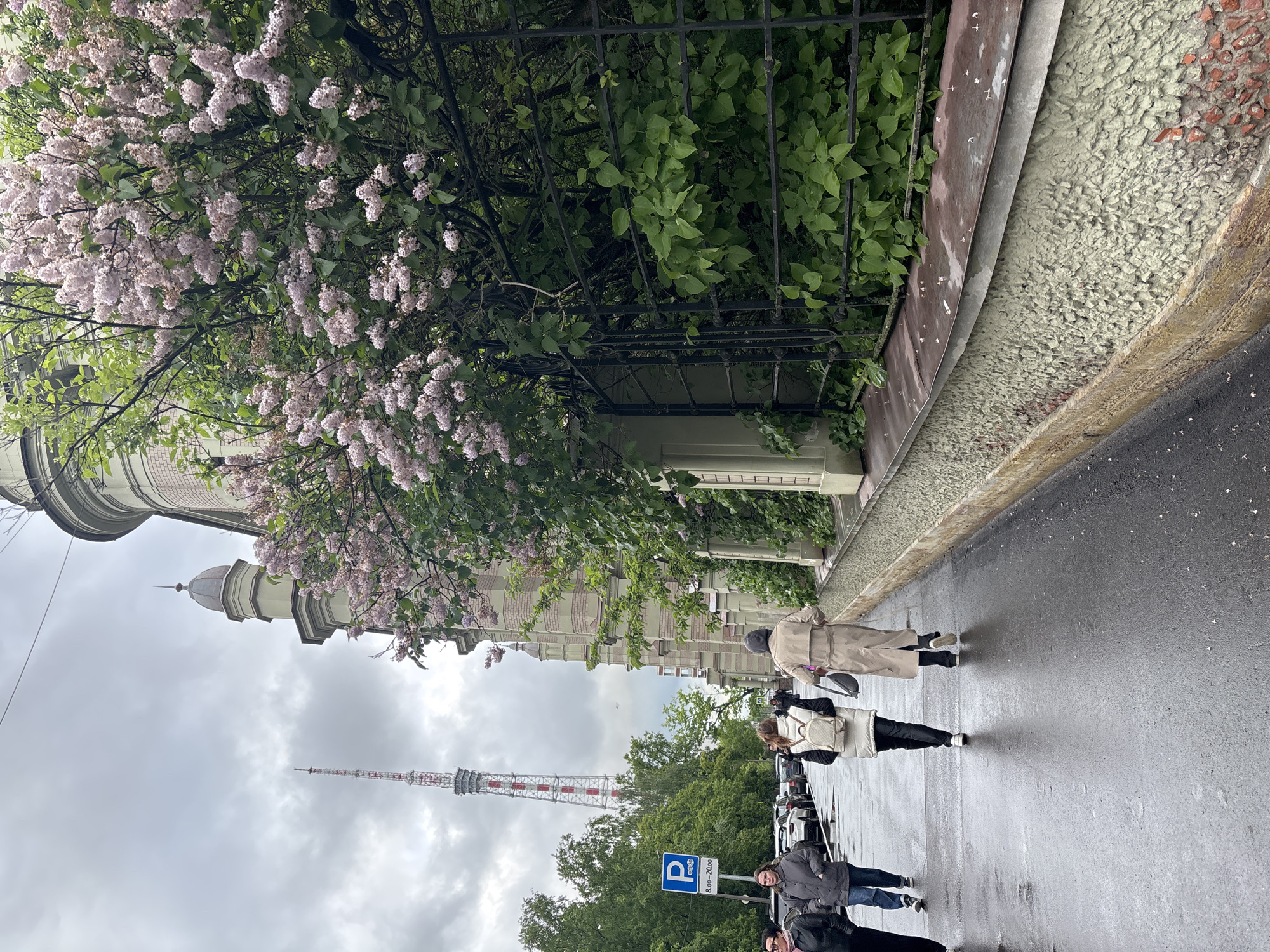 The image depicts a street scene in Saint Petersburg, Russia, likely taken on a cloudy, possibly rainy day given the wet pavement. A group of people is walking along the sidewalk, with a mix of clothing styles suggesting casual attire. There's a building with a distinctive tower visible in the background, partially obscured by flowering lilac bushes. In the distance, the Saint Petersburg TV Tower is prominently visible. A parking sign is noticeable on the side of the road, indicating parking regulations. The architecture of the buildings and the presence of the TV tower point to a specific location in the city.