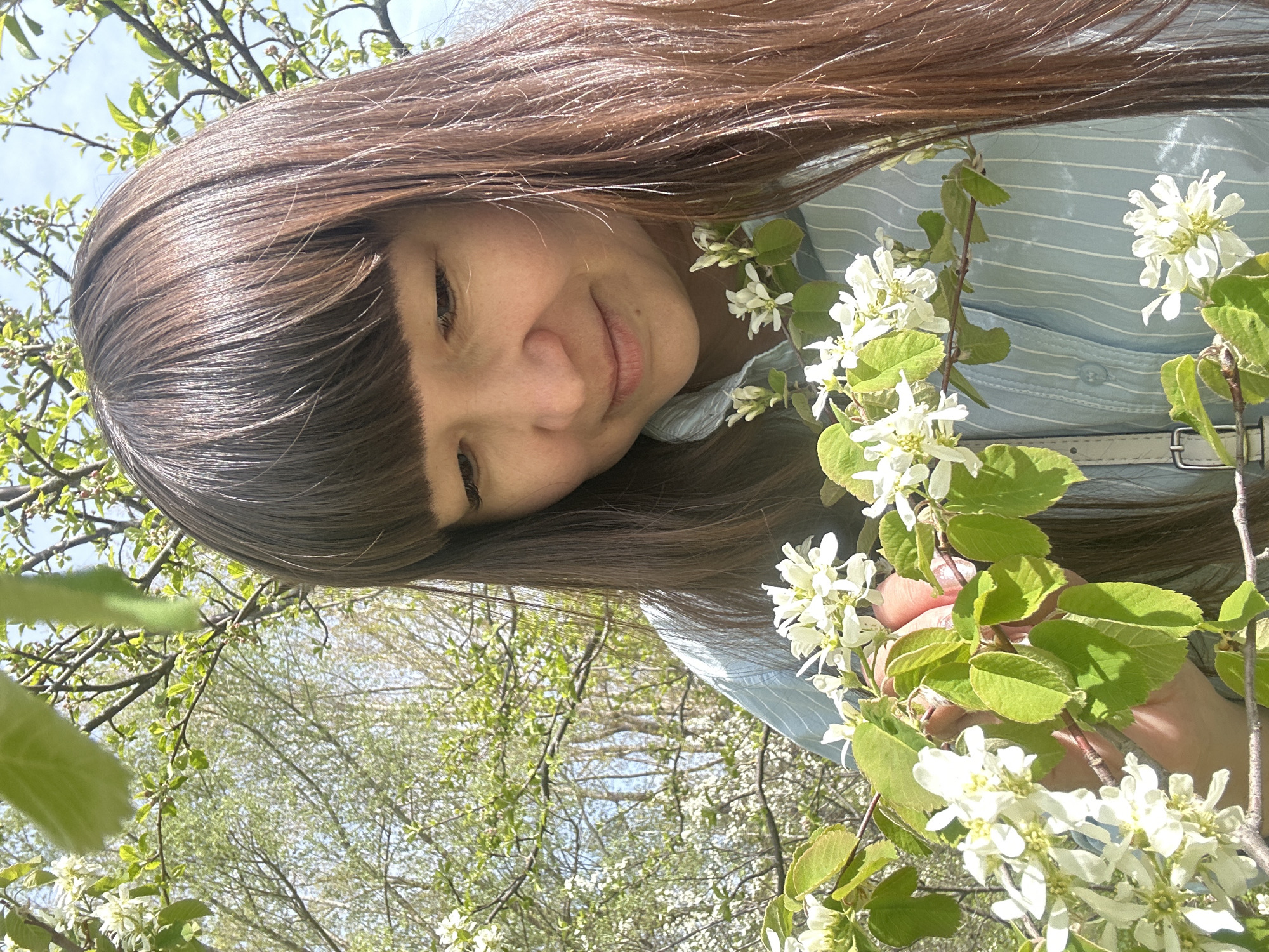 A woman with long brown hair and bangs is holding a branch of white flowering tree. She is wearing a light blue striped shirt. The photo appears to be taken outdoors in a park or wooded area, with other flowering trees visible in the background. The image is taken at an angle, looking up at the woman from below. The location is Chaikovsky, Russia.