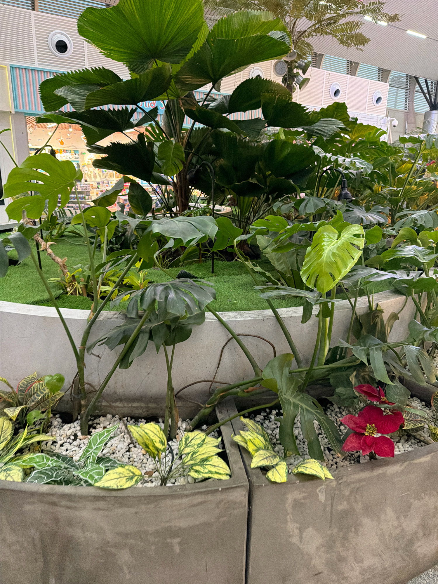 The image shows an indoor tropical plant display, likely in a public space. Large fan palms and monstera plants dominate the foreground, with smaller, variegated plants and a red flower visible closer to the planter edges. The plants are set against a backdrop that includes a wall with striped paneling, circular vents or decorative elements resembling eyes, and a ceiling with modern lighting. The overall impression is one of an artificial, curated environment designed to bring a touch of nature indoors. Based on the architectural style and the presence of similar plant displays, this could be within a modern building such as Da Nang International Airport or a large shopping mall in Da Nang, Vietnam. There are no people visible in the image.