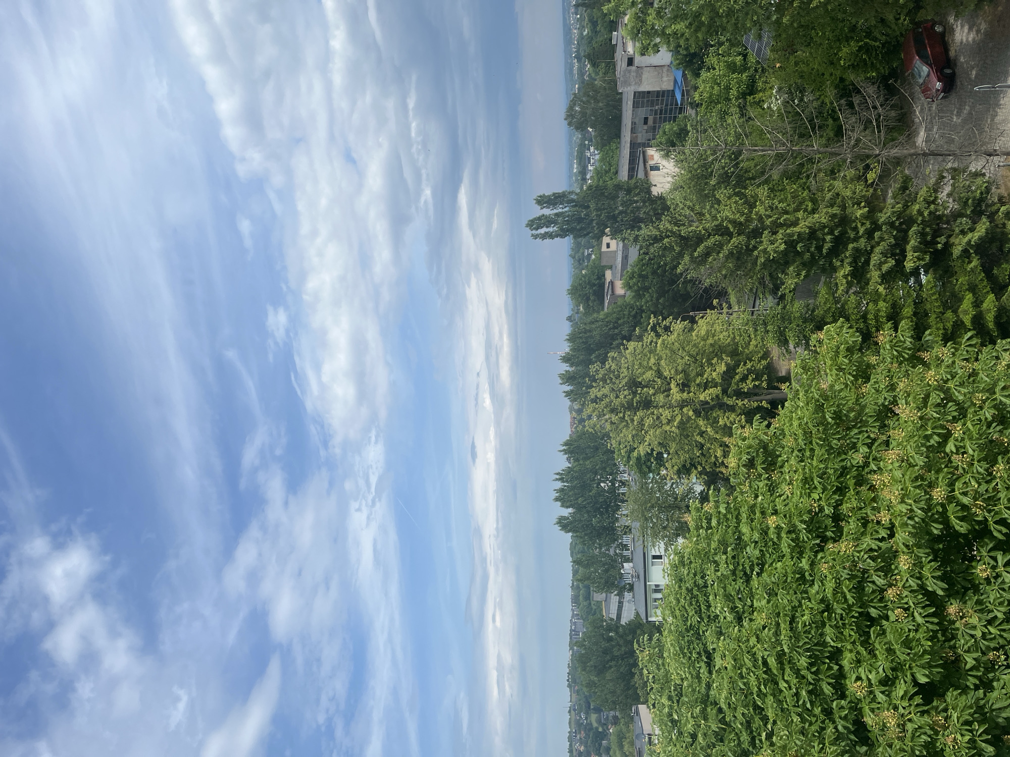 This image captures an expansive outdoor landscape, seemingly taken from an elevated viewpoint looking over a mixed urban and natural environment under a dynamic sky. The photograph is oriented vertically (rotated 90 degrees clockwise), showing a broad vista.
The upper portion of the frame (when viewed correctly in landscape orientation) features a bright blue sky filled with varied white clouds. These range from delicate, wispy cirrus formations to more substantial, fluffy cumulus clouds, with a faint airplane contrail visible towards the left.
The midground and foreground are characterized by lush, dense greenery. Numerous trees and bushes, primarily on the right side, display vibrant green foliage, indicative of spring or summer. A notable detail is a tall, slender tree in the midground that appears bare or dead, its light-colored, leafless branches contrasting sharply with the surrounding healthy canopy. In the immediate foreground, dense bushes with clusters of small, light-colored flowers or seed pods are visible.
Interspersed among the greenery are various buildings and structures. These appear to be multi-story, with some showing features like exposed frameworks or large window panes, hinting at commercial or industrial architecture. One building has a distinct blue section, possibly a roof or tarp. In the upper right corner, a section of a paved area, likely a road or parking lot, is visible, where a red car is parked. A white metal structure, possibly a railing, is also present near the car.
The scene depicts a clear daytime setting, likely morning or early afternoon, given the bright and even illumination. The distant horizon line is somewhat hazy, suggesting a vast landscape extending far into the background. No people are visible, and no specific activity is taking place, presenting a static, panoramic view. No text is visible in the image.