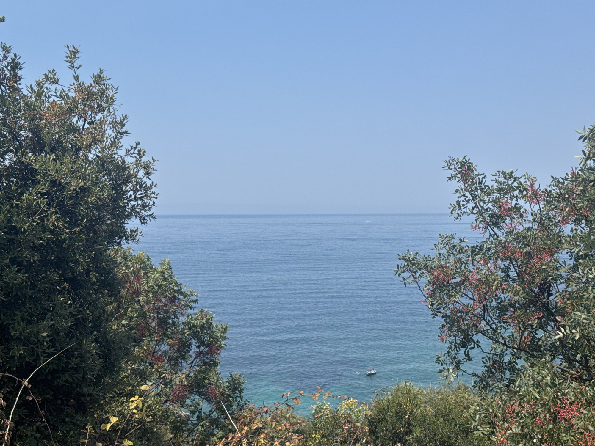 The image shows a view of the Adriatic Sea from a vegetated hillside in Kunje, Montenegro. The foreground is filled with dense green foliage, with some branches bearing small red berries. The sea stretches out to the horizon under a clear blue sky. In the distance, a small boat with at least one person can be seen floating on the water. The water near the shore is a lighter, turquoise hue, transitioning to a deeper blue further out. The overall scene depicts a tranquil coastal landscape.