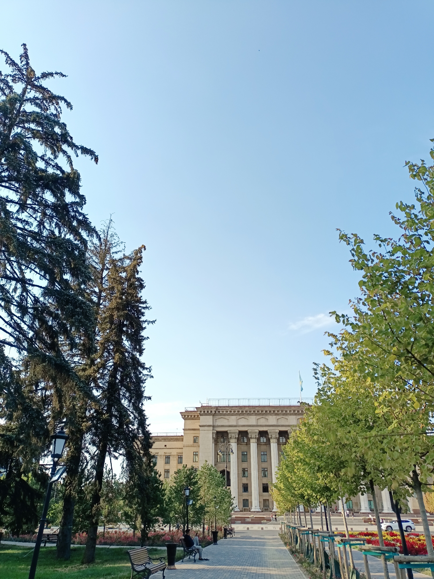 The image depicts a view from a park towards a large, classical-style building with a colonnade and a flat roof, likely the former Presidential Palace in Almaty, Kazakhstan. On the left, tall, dark evergreen trees dominate the foreground, with a lamppost and park benches visible in the shaded grassy area. A paved walkway leads towards the building, bordered on the right by a row of young trees with light green foliage, each supported by wooden stakes and blue ties. The trees are planted along a colorful flower bed with red and pink flowers. In the distance, people are visible walking on the wide plaza in front of the building, and a white car is parked near the flower beds. The sky is clear and blue.