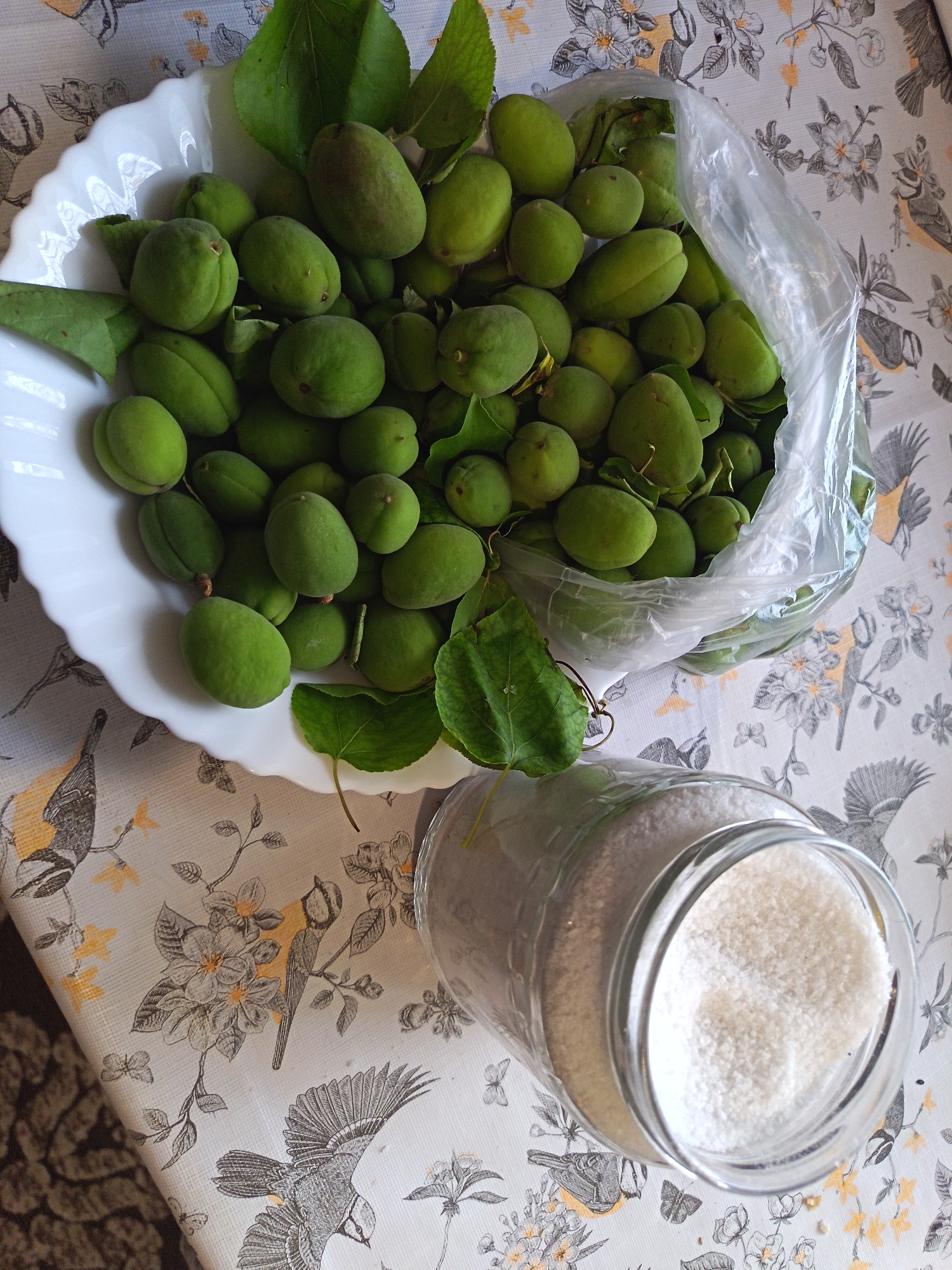 The image presents a still-life composition set on a patterned tablecloth, possibly located in a residential setting. The tablecloth has a floral design with birds, rendered in greyscale with hints of yellow. A white, scalloped-edged bowl and a clear plastic bag are filled with unripe, green fruits, likely apricots, some still bearing leaves. Near the bottom of the frame, there is a clear glass jar filled with a white granular substance, probably sugar or salt. The composition suggests food preparation or storage activities. There's no immediate indication of the location being Nizhnevartovsk, Russia, or of any people.