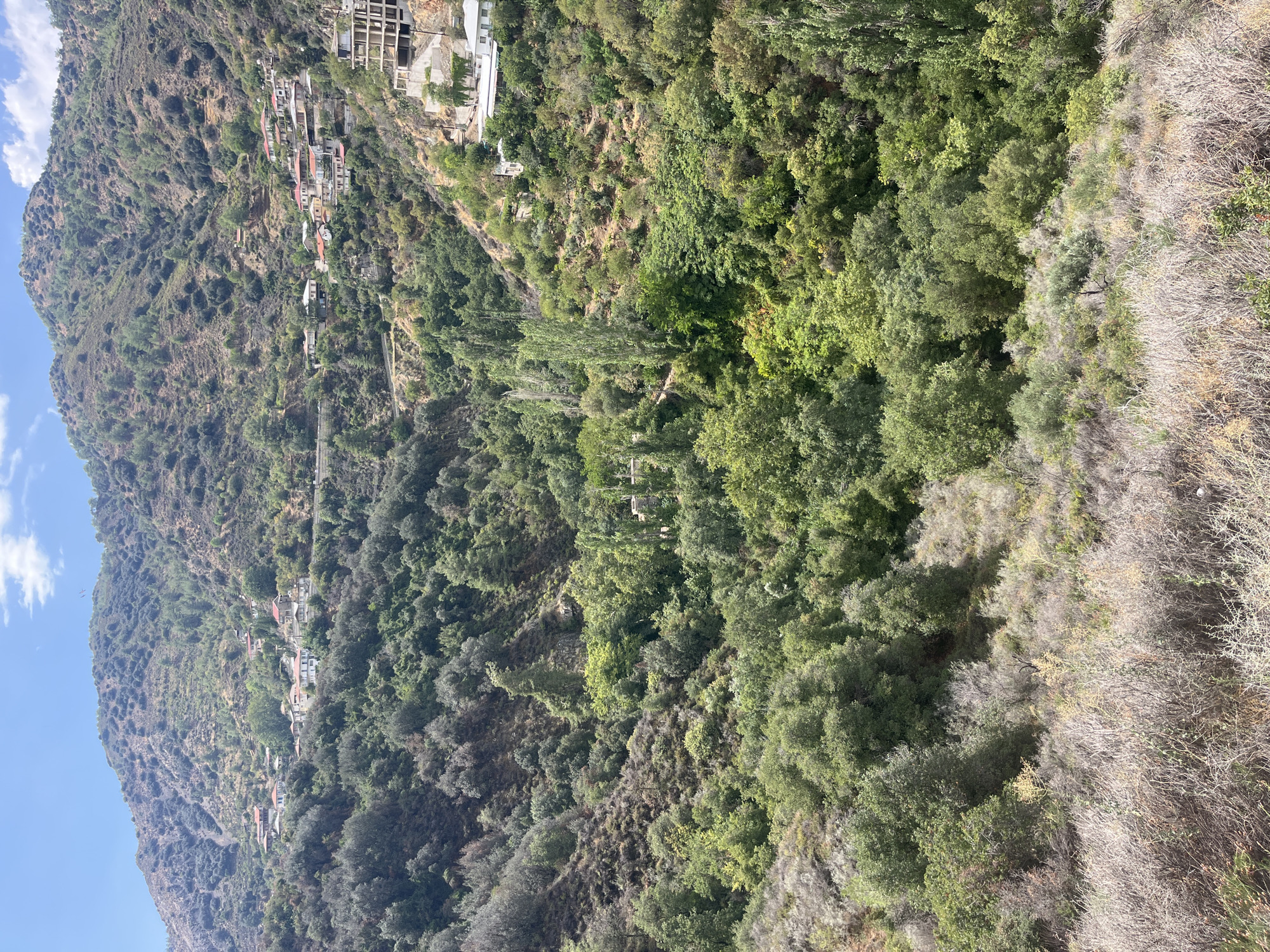 The image depicts a view of the village of Kalopanagiotis, Cyprus, nestled within a lush, mountainous landscape. The village is characterized by a cluster of traditional houses with red-tiled roofs, clinging to the steep hillsides. The terrain is rugged and covered in dense vegetation, with a mix of olive trees, shrubs, and taller trees in the valley below. Some houses are situated higher up on the mountain, connected by winding roads. In the foreground, the dry, scrubby vegetation suggests a Mediterranean climate. The sky above is a clear blue with a few scattered white clouds. The scene conveys a sense of rural tranquility and integration with the natural environment.