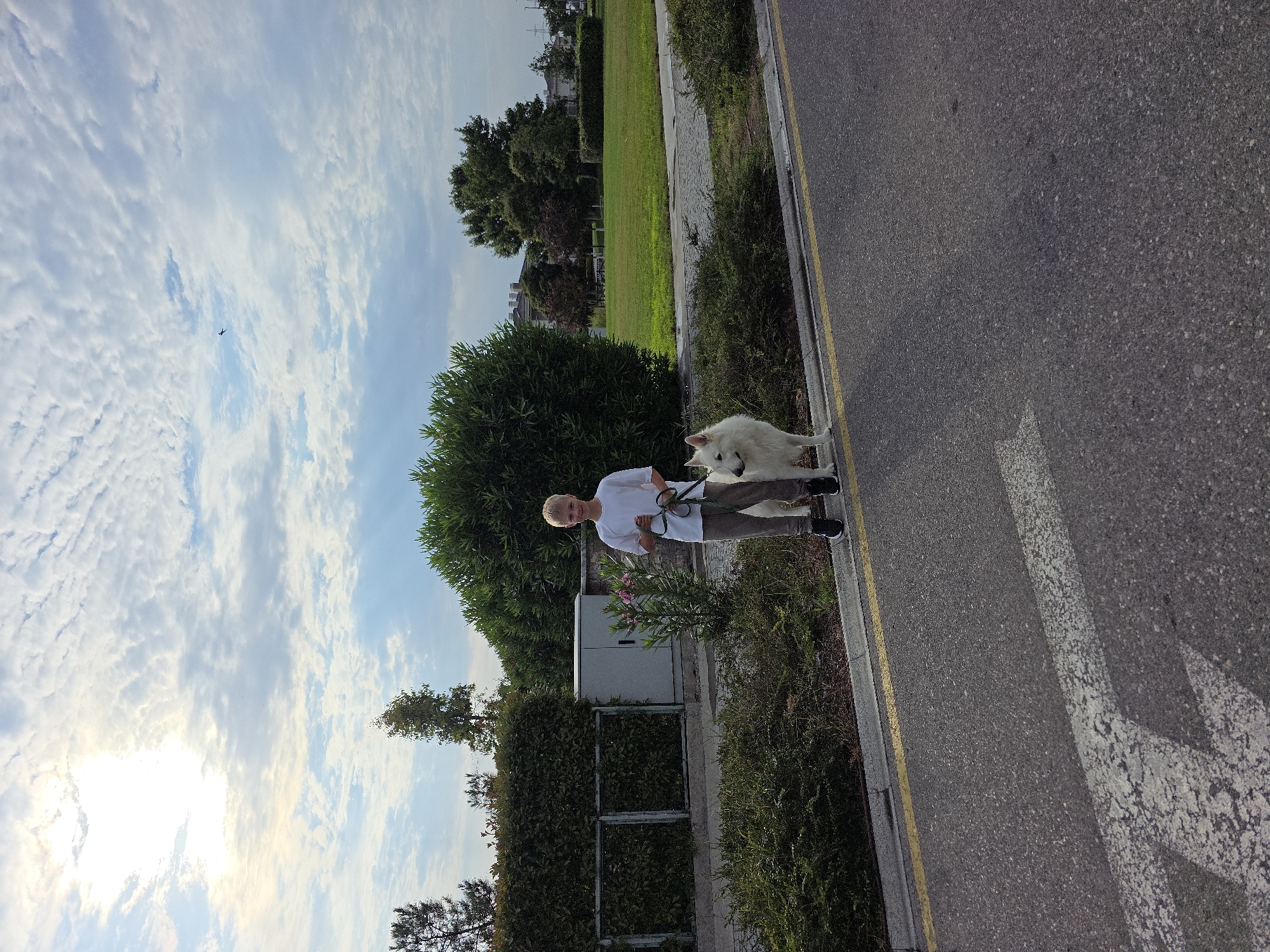 In Surakhany Raion, Azerbaijan, a young boy with blond hair and fair skin stands on a paved surface next to a road. He is wearing a white t-shirt, grey pants, and black sneakers. He is holding a leash attached to a white dog, which stands beside him. The dog appears to be a medium to large breed. The boy is looking towards the camera with a slight smile. The background features a well-maintained green hedge, a gray electrical box, and a small flowering plant. Beyond the hedge, a grassy area with trees and buildings is visible. The sky is partly cloudy with the sun peeking through. The overall scene suggests a casual outdoor walk.