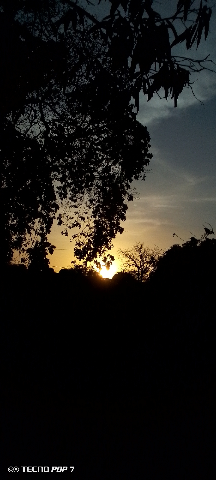 The image depicts a sunset in Altagracia, Venezuela. The foreground is dominated by silhouettes of trees and branches, with the sun setting in the distance. The sky transitions from a yellow-orange hue near the horizon to a darker blue-grey further up. No people are visible. The environment appears to be a natural setting, possibly a park or rural area on the outskirts of the city. At the bottom left corner of the image is the watermark "TECNO POP 7", indicating the type of device used to take the picture.