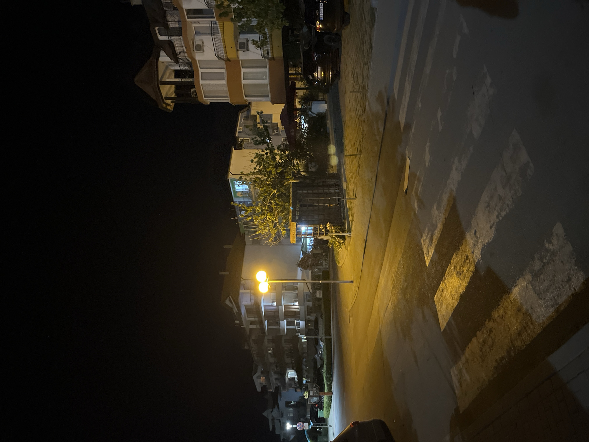 The image captures a street scene at night in Obzor, Bulgaria. In the foreground, a wet pedestrian crossing is illuminated by the warm glow of streetlights. To the left, a portion of a dark-colored vehicle is visible. The middle ground features buildings with illuminated windows, suggesting residential or hotel accommodations. A lamppost with two bright bulbs stands prominently, casting shadows and highlighting the road surface. Further back, more multi-story buildings line the street. Several parked cars are visible on the right side of the image, some with illuminated license plates. Trees with sparse foliage are scattered throughout the scene, their branches silhouetted against the night sky. The overall atmosphere is quiet and still, characteristic of a nighttime street in a coastal town.