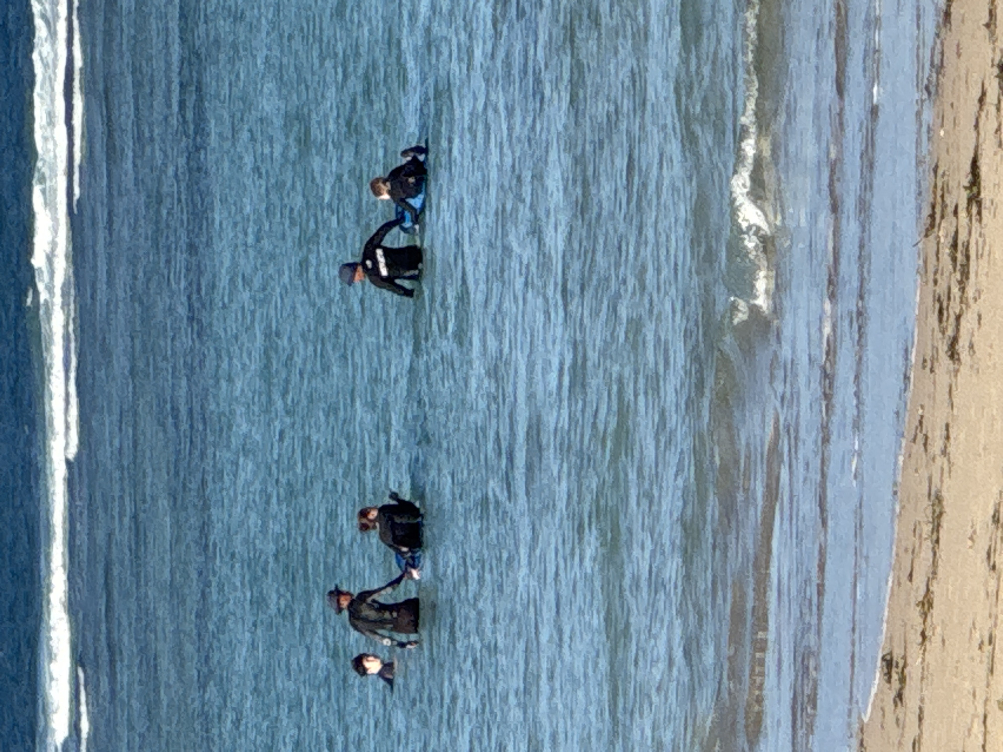 In the ocean waters off the coast of Kuta Selatan, Indonesia, a group of five individuals are engaged in watersports. Three are standing or wading in the shallow water, while two are positioned on a blue and white boogie board. All individuals are wearing dark-colored wetsuits, suggesting a cool water temperature or a desire for sun protection. One person, wearing a hat, appears to be assisting or instructing another person on the boogie board. The waves are gentle, with a thin line of white surf breaking in the distance. The water is a clear blue, and the beach in the foreground is sandy with some scattered seaweed and debris. The overall scene depicts a recreational activity in a coastal environment.