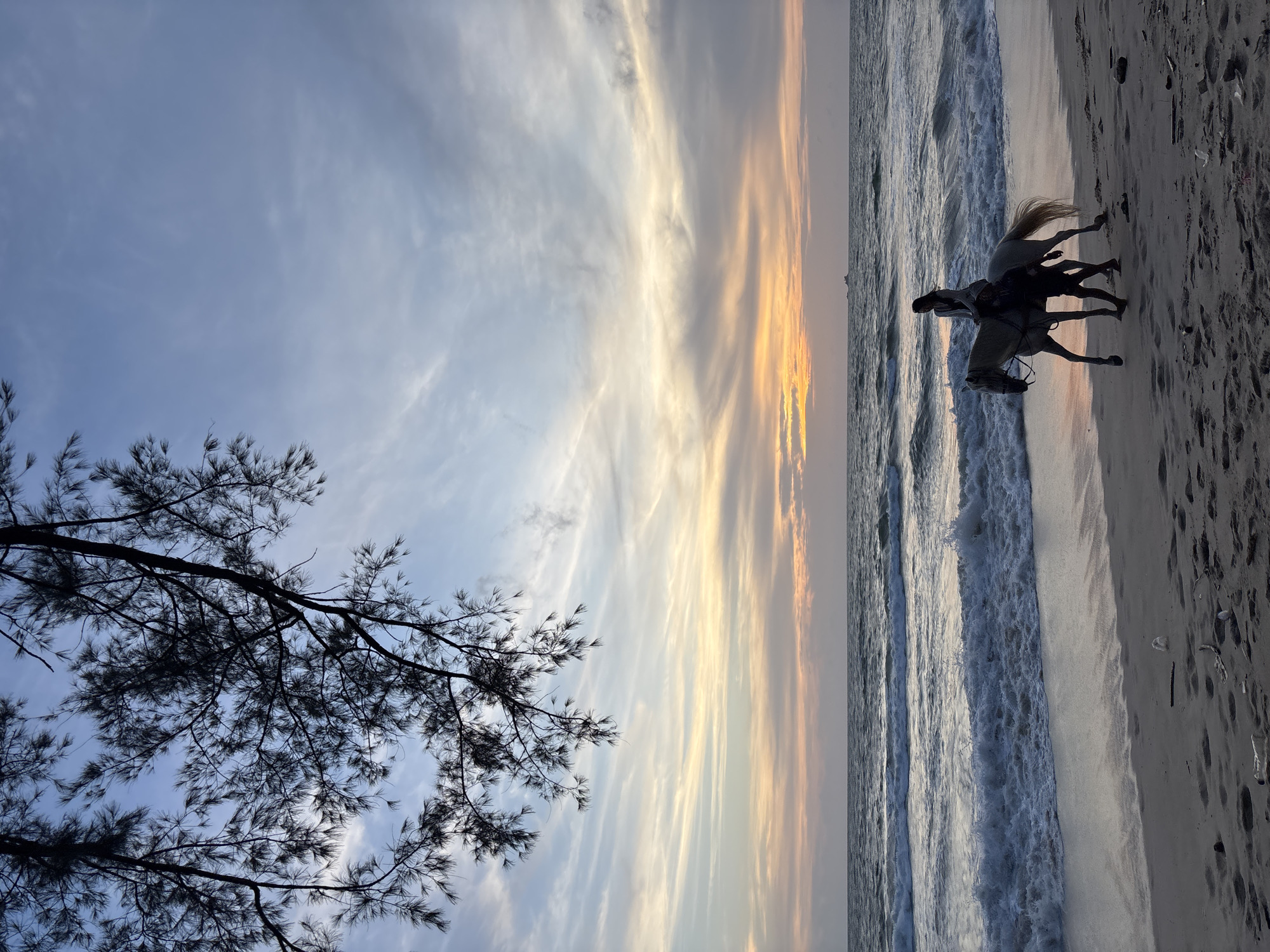 The photograph depicts a coastal scene at Choeng Thale, Thailand. A silhouetted figure rides a horse along the shoreline where the sea meets the sand. The sky is visible with a combination of light blue sky and yellow sunset. A tree, also a silhouette, is present in the left of the frame.