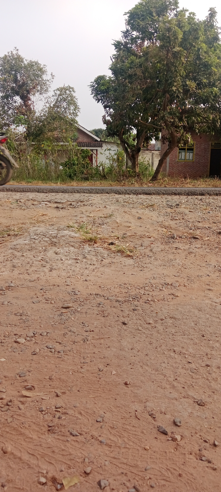The image depicts an outdoor scene in Gondang Rejo, Indonesia. In the foreground, a dirt road is visible, covered with small stones and tire tracks. A section of what appears to be a paved road runs horizontally across the middle ground. Behind the paved road, there is a fence and dense vegetation. Further in the background, there are two buildings. The building on the left is white with a white roof and a red door, partially obscured by trees and vegetation. The building on the right is made of brick with a light-colored roof and a yellow-framed window. Several trees with dense green foliage are scattered throughout the scene, with the largest tree dominating the right side of the frame. On the far left of the image, a portion of a motorcycle, specifically the rear wheel and part of the frame, is captured in motion. The sky above is overcast and light-colored.