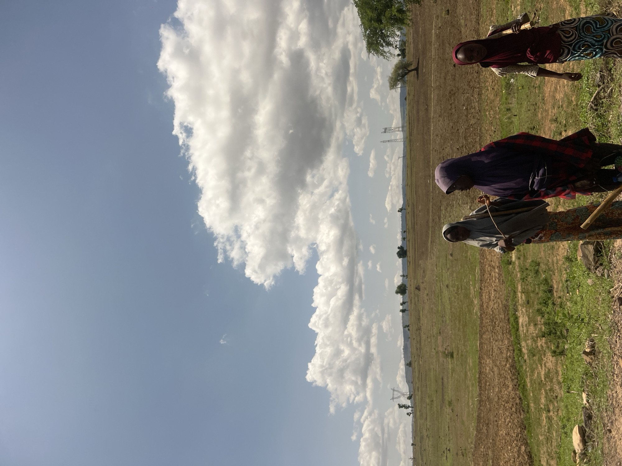 The image depicts a rural landscape in Chum, Nigeria, under a partially cloudy sky. The sky, occupying the upper two-thirds of the frame, is blue with numerous white cumulus clouds, some appearing brighter and others with grey undersides, suggesting depth and light variation.
The ground in the foreground consists of dry earth, sparse green grass, and scattered small rocks. Moving into the midground, the terrain transitions to extensive, mostly fallow or tilled fields, displaying broad patches of dry brown soil interspersed with areas of light green vegetation. The distant background features low hills or elevated land.
Across the mid-to-background, several tall, metallic lattice structures, identified as power line pylons, are visible, indicating electrical infrastructure. Scattered trees of varying sizes are present throughout the landscape, with a prominent light green tree on the right midground and several smaller trees dotting the distant horizon.
Three individuals, identified as young females, are present in the lower right foreground.
1. The leftmost individual wears a light grey full-length garment and a multi-patterned long skirt. She holds a thin wooden stick in her right hand, pointed towards the ground.
2. The central individual wears a dark purple head covering, a dark plaid long-sleeved top, and a patterned long skirt. Her gaze is directed towards the right.
3. The rightmost individual wears a dark red head covering, a light-colored top with a dark red vest, and a distinctly patterned long skirt with blue, white, and black circular designs. She carries a thick, light-colored wooden stick over her left shoulder, resting it on her back. Her gaze is directed towards the viewer.
All three individuals are standing on a dirt path or track, suggesting they are either walking or have paused their movement.