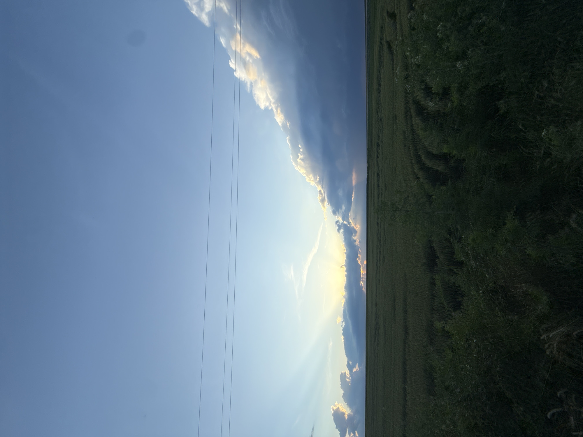 An expansive, flat agricultural field, likely wheat or corn, stretches across the frame, its dense green stalks creating a textured surface. The field is divided by subtle circular patterns in the crop, suggesting past agricultural activity. In the foreground, a dense line of dark green foliage and grasses borders the field. Three thin, dark horizontal lines, presumed to be power or telephone lines, traverse the upper portion of the image, adding a man-made element to the natural landscape. The sky above is a gradient of clear, pale blue near the horizon, transitioning to a deeper blue overhead. Dramatic clouds dominate the right side of the sky, with their edges illuminated by the setting or rising sun, creating a contrast between dark, heavy masses and bright, fiery highlights. Rays of sunlight emanate from behind a band of clouds on the left, casting a gentle glow over the distant horizon. The overall scene captures a rural landscape at dusk or dawn, with a sense of vastness and the dynamic interplay of light and weather. There are no people, animals, or discernible structures other than the overhead wires. This image appears to be a landscape photograph taken in or around Pristoe, Bulgaria.