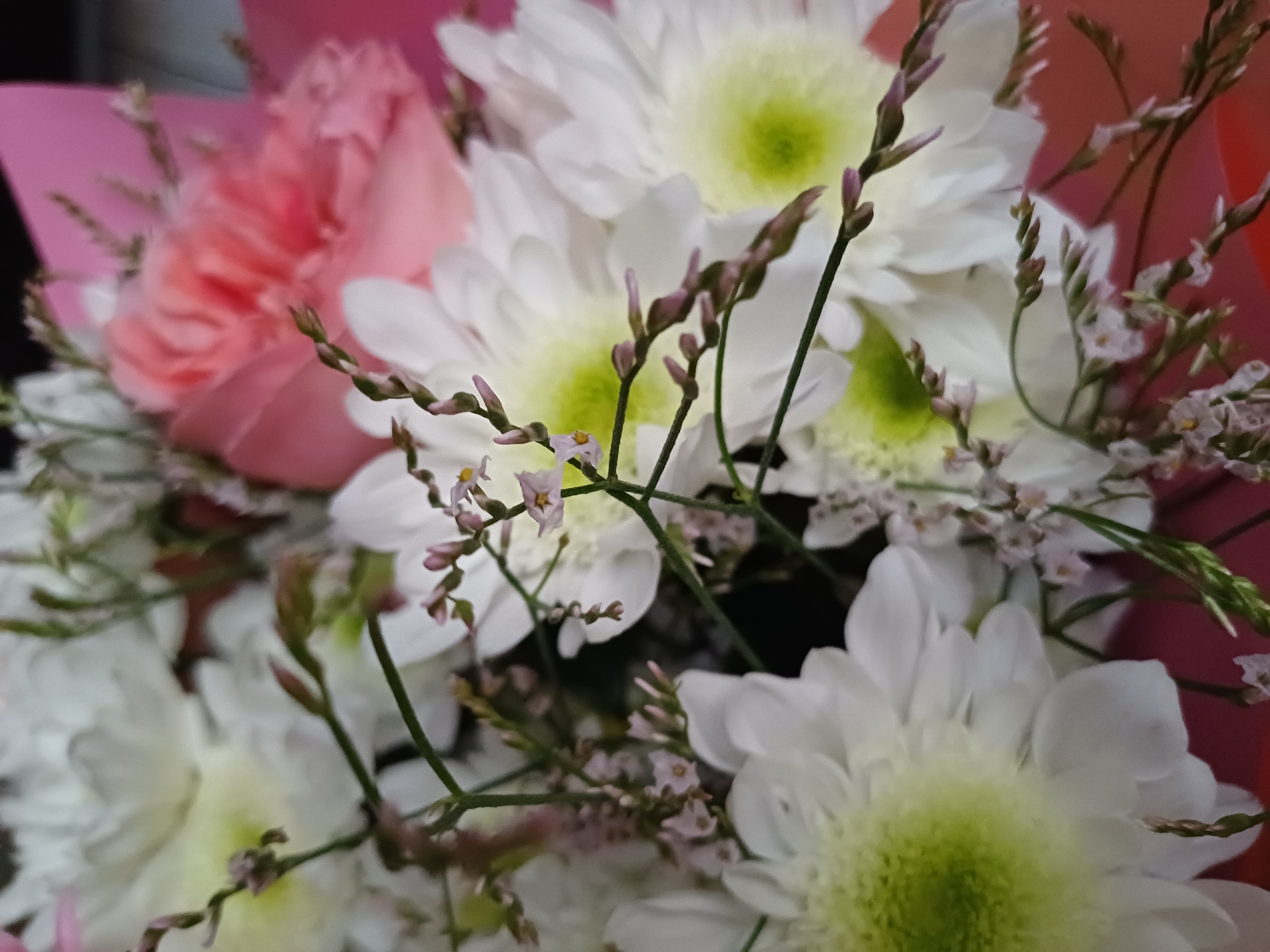 A close-up, overhead shot shows a bouquet of flowers, primarily white chrysanthemums with bright green centers, interspersed with a delicate pink carnation and thin, wispy branches of tiny purple flowers and green stems. The flowers are arranged in a bouquet, partially wrapped in bright pink paper. The lighting is soft and natural, creating a shallow depth of field that blurs the background and emphasizes the textures and colors of the floral arrangement. The scene is likely indoors, given the controlled lighting and lack of outdoor environmental elements. There are no people or animals visible in the image. The overall impression is one of softness, natural beauty, and delicate artistry.