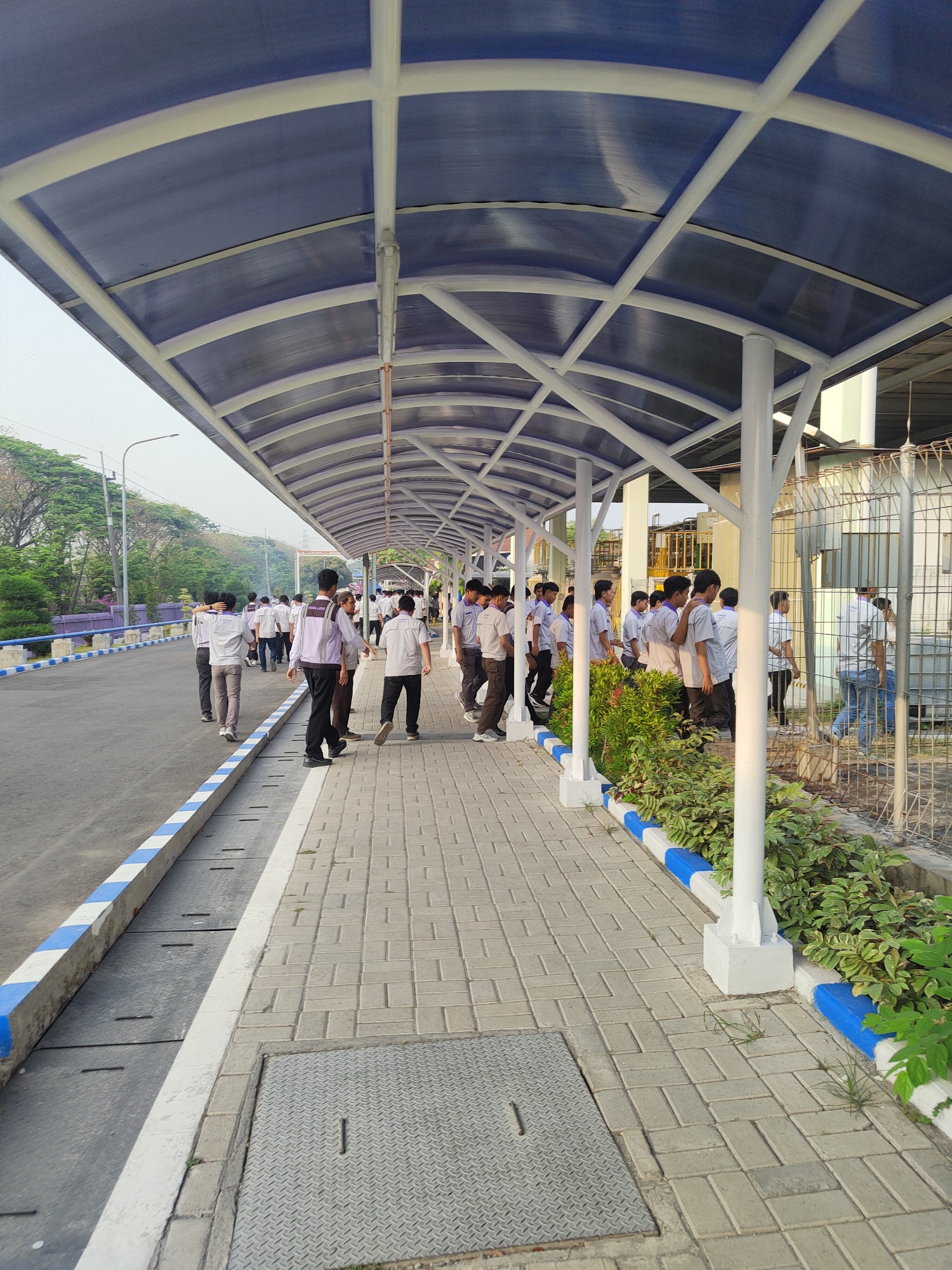 The image shows a group of young people, likely students or workers, walking under a covered walkway. The walkway has a blue, translucent roof supported by white metal beams and poles. The ground beneath the walkway is paved with light-colored rectangular bricks. To the left of the walkway is an asphalt road with a blue and white striped curb. Beyond the road, there are trees and a purple barrier. To the right of the walkway, there is a metal fence, behind which industrial buildings or equipment can be seen. Some of the individuals are wearing light-colored shirts and dark pants, while others have on light-colored shirts with darker sleeves and dark pants. The scene appears to be outdoors during daylight. The location is specified as Raci, Indonesia.
