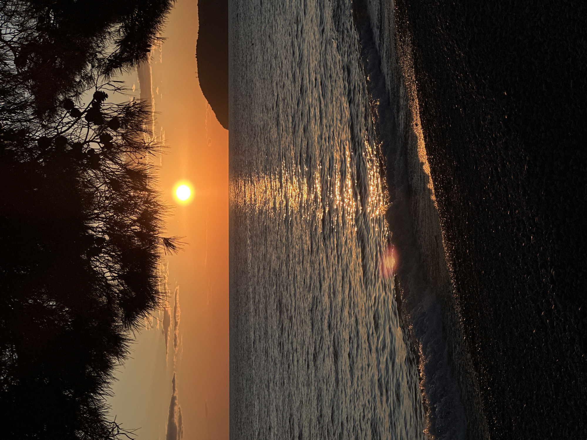 The image depicts a sunset at the beach in Šušanj, Montenegro. The sun is setting over the Adriatic Sea, with its light reflected on the water. The silhouette of a pine tree is visible on the left side of the image. The beach is on the right side, with small waves washing onto the shore. There are no people visible in the image.
