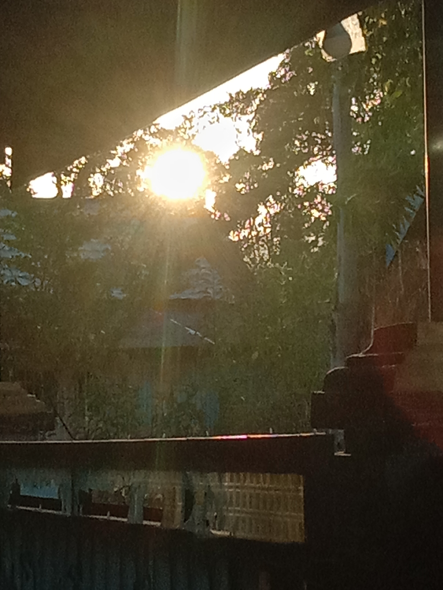 This image captures a sunlit scene through an overhead structure in Kwandang, Indonesia. The sun is intensely bright, creating prominent rays that pierce through a canopy of green foliage. The sunlight illuminates the leaves, causing them to appear dappled and bright in places. Behind the trees, there is a hint of a building with a distinctive roofline. In the foreground, a dark, horizontal structure, possibly a railing or a beam, bisects the frame, with a patterned surface visible beneath it. The overall impression is one of natural light filtering through vegetation and architectural elements in a tropical setting.
