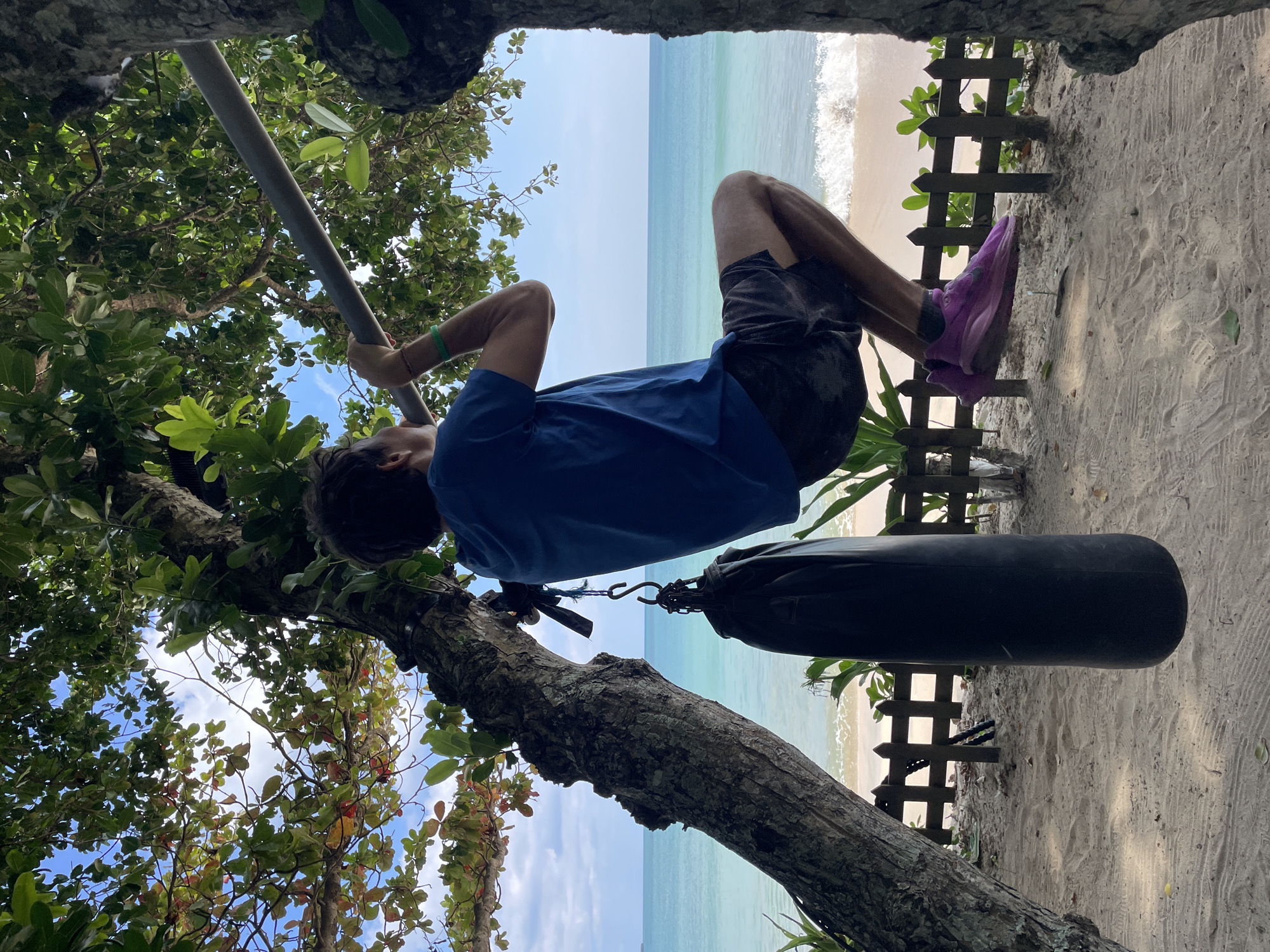 The image, oriented with the ocean on the right, captures a man exercising outdoors in a tropical coastal setting. He is engaged in a pull-up or similar hanging exercise, gripping a silver-colored horizontal bar with both hands. The man is seen from the back and side, wearing a blue short-sleeved shirt, dark shorts, and bright purple athletic shoes. His dark hair is visible.
The scene is framed by the thick, leafy branches of a large tree, providing a natural overhead canopy. To the right of the man, a black punching bag is suspended from another tree branch by a metal hook and chain, suggesting a makeshift outdoor gym.
In the background, a sandy beach is visible, separated by a rustic wooden fence. Beyond the beach, the calm, blue-green ocean extends to the horizon, with small waves gently breaking on the shore. The sky above is clear and bright blue with a few scattered white clouds, indicating sunny daylight hours. The ground surrounding the exercise setup is sandy.
The photograph is taken from a low angle, looking upwards through the foliage towards the man and the scenic ocean backdrop. No text is visible in the image.