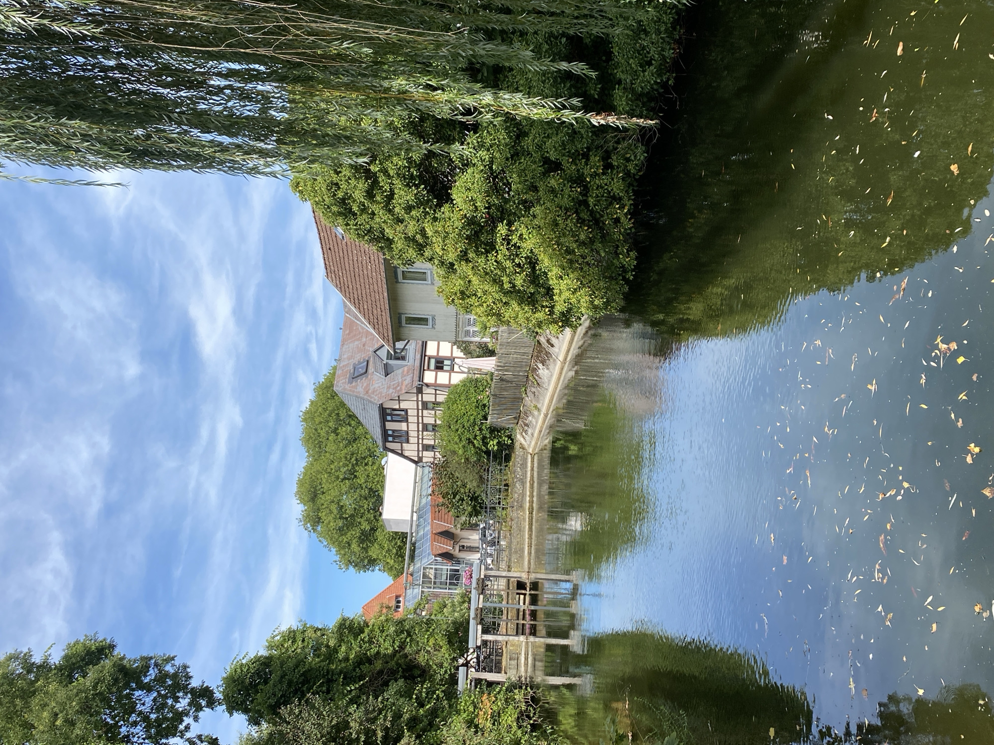 The image shows a canal with a small weir or sluice gate, flanked by lush green trees and buildings in Bückeburg, Germany. The water is calm and reflects the surrounding foliage and sky, with a scattering of fallen leaves visible on its surface. On the left bank of the canal, there's a section of the weir with metal railings and wooden structures. Beyond the weir, a glass-roofed building with a red-tiled roof is visible.
Across the canal, on the right bank, are traditional German houses with timber-framed elements and steeply pitched roofs. A large weeping willow tree dominates the right side of the frame, its long branches trailing towards the water. The sky is blue with scattered white clouds. The overall scene depicts a peaceful, picturesque urban waterway. There are no people visible in the image.