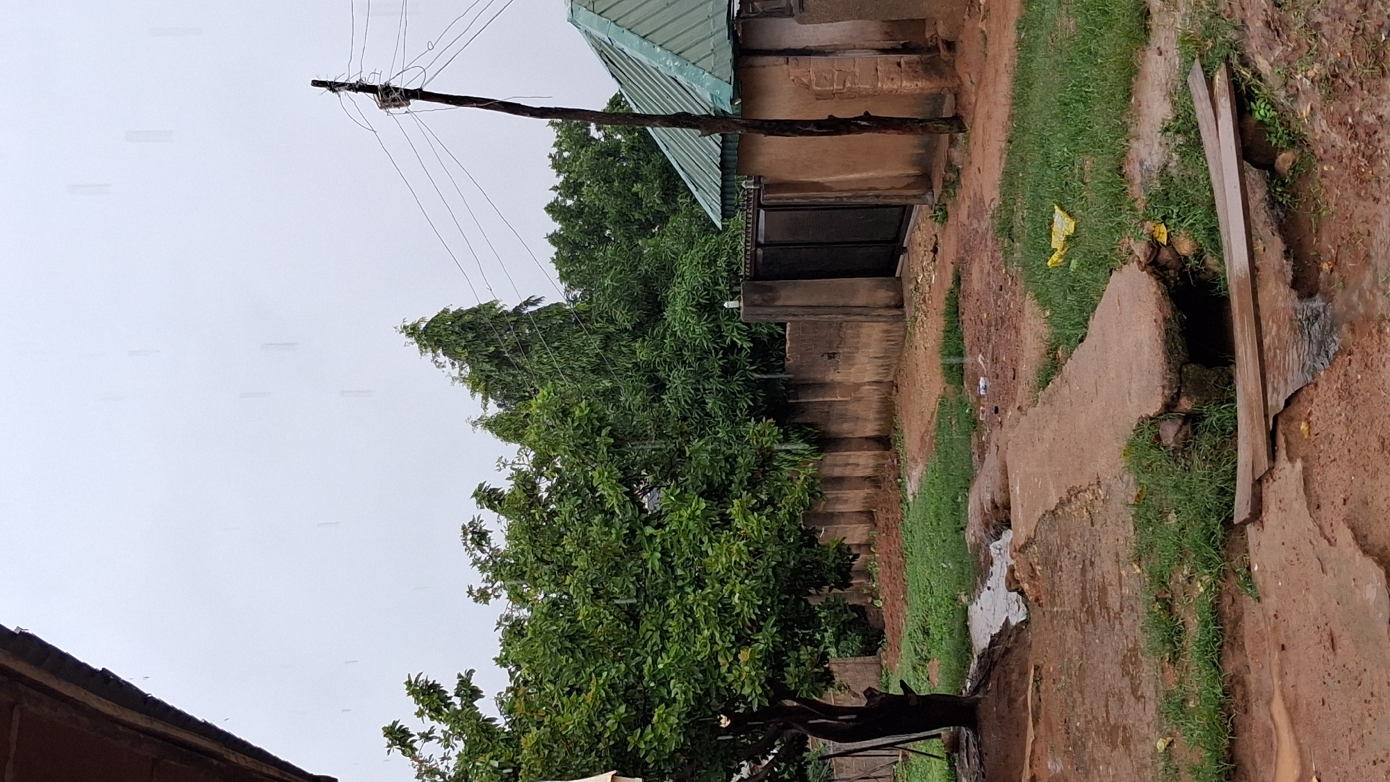The image depicts a scene in Barakin Akawo, Nigeria, during rainfall. The foreground features a muddy, eroded path with a small wooden plank bridge crossing a shallow stream. To the left, a tree with lush green leaves stands near a patch of grass. A concrete walkway, cracked and uneven, traverses the mid-ground, leading towards a rough concrete wall. Beyond the wall, a dark metal gate is visible, flanked by more concrete structures. A tall, thin wooden utility pole with wires extends upwards into the overcast sky. To the right, a building with a green corrugated metal roof is partially visible. The environment is characterized by wet, earthy ground, green vegetation, and the ongoing precipitation, evident as streaks in the air. The sky is a uniform, pale gray, indicating heavy cloud cover.