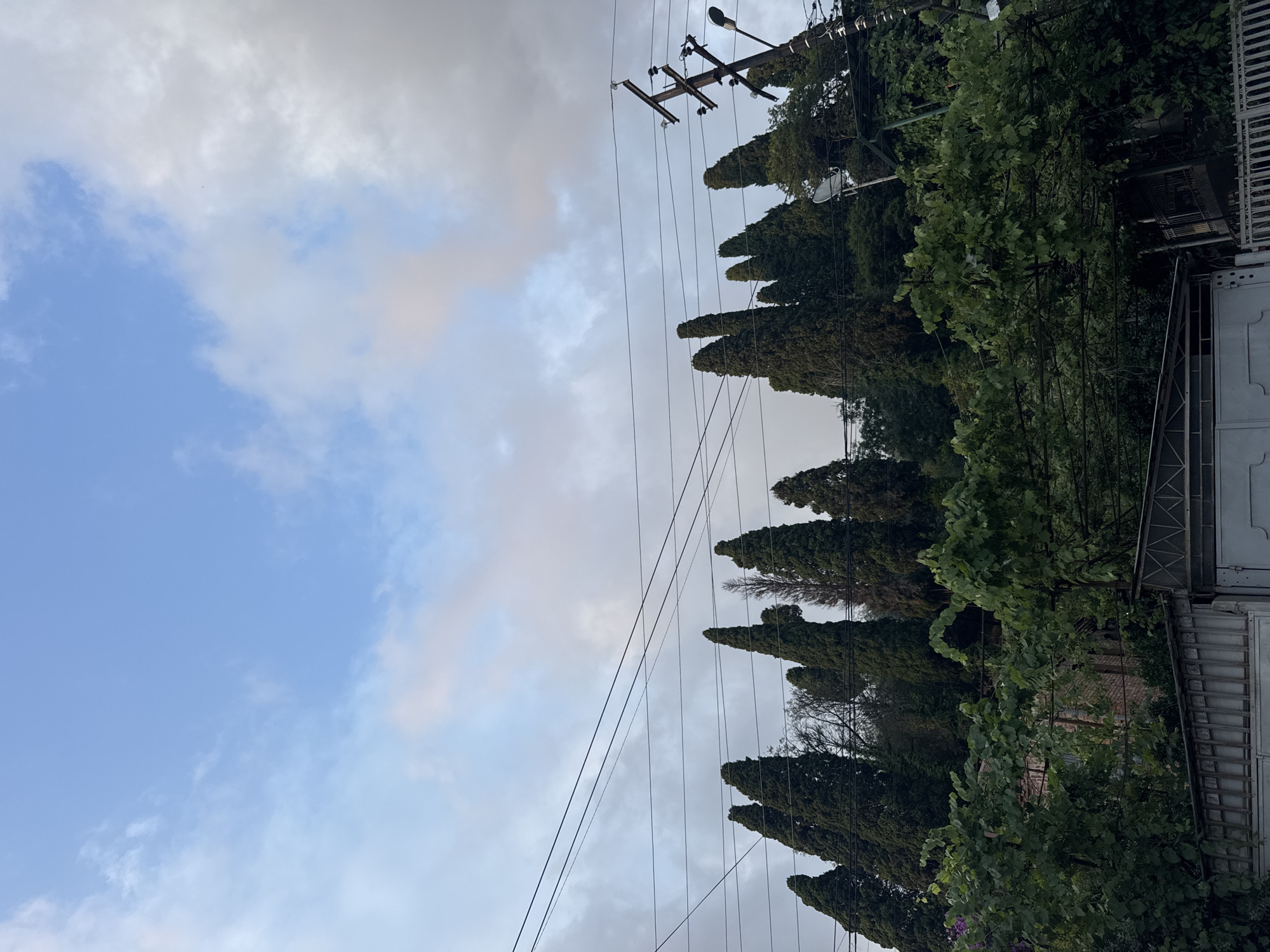 The image depicts a view of tall cypress trees and lush green foliage in Sokhumi, Abkhazia. Power lines crisscross the sky above the trees, and a utility pole with a lamp is visible on the right side of the frame. In the foreground, a fence and part of a building are visible, suggesting a residential or semi-urban setting. The sky is a mix of blue and cloudy formations, indicating a dynamic weather condition.